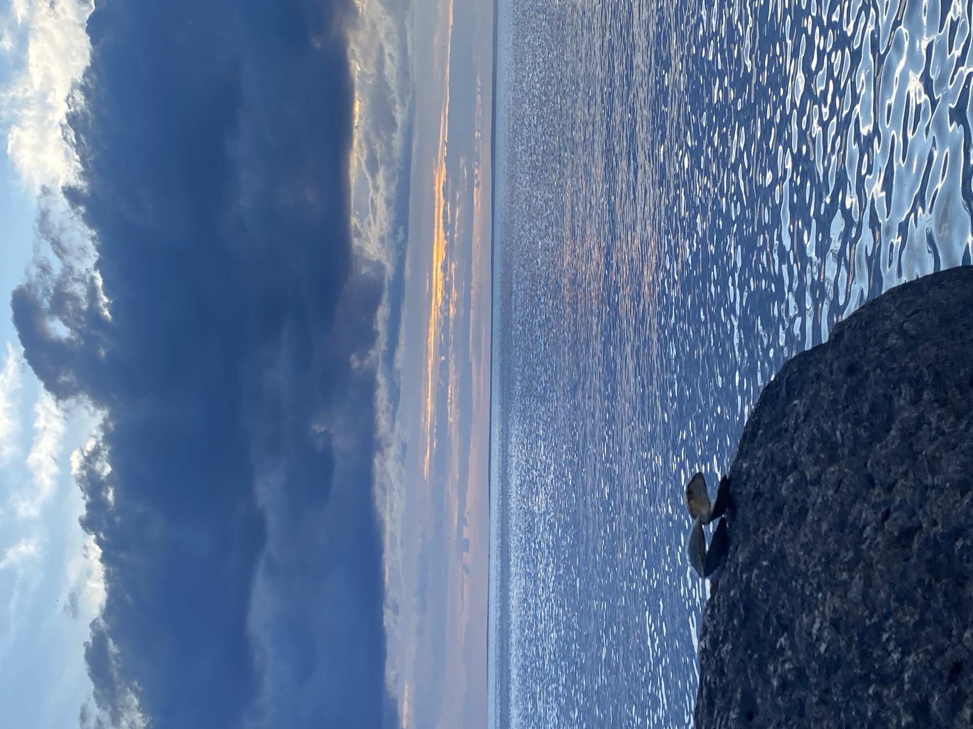 A close-up, low-angle shot of a dark, textured rock in the foreground on the left side. Balanced on the rock are two open mussel shells, one slightly behind the other. The rock juts into the calm, blue water of the Gulf of Finland, which fills the majority of the frame. The water reflects the sky, creating ripples of light. In the background, the sky transitions from pale pink and orange near the horizon to deep, dark blue and grey clouds. The setting appears to be a waterfront location in Sestroretsk, Russia, likely during twilight or sunset. There are no people or any other objects present besides the rock and shells.