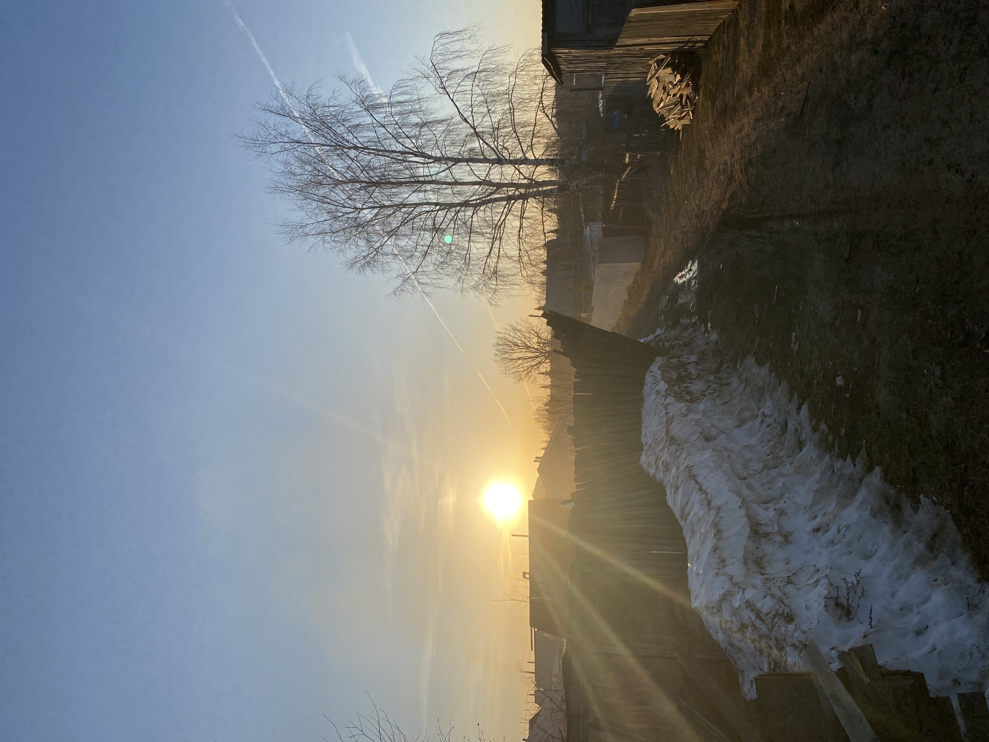 The image captures a rural landscape at sunrise or sunset, likely in or near Ольховка, Russia. The sky transitions from blue to orange-yellow, indicating the sun's position near the horizon. A prominent, leafless birch tree stands against the sky. The ground is partially covered with melting snow and mud. A dilapidated wooden fence runs along the bottom of the frame. Adjacent to the fence are rural structures, possibly sheds or houses. A pile of firewood is visible near one of the structures. Vapor trails mark the sky.