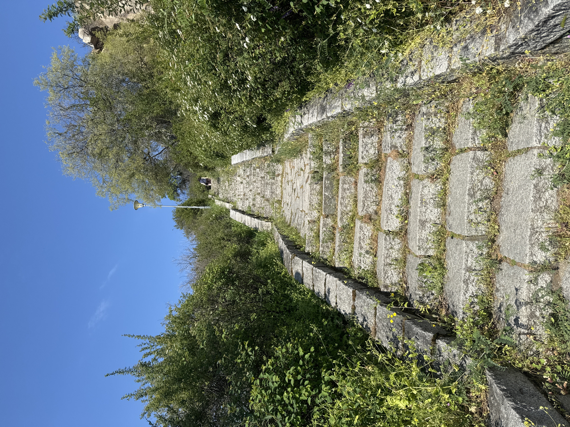 The image shows the stone staircase leading up Nebet Tepe in Plovdiv, Bulgaria. The staircase is made of large, weathered stone blocks, with vegetation growing between the steps. The stairs are bordered by green shrubbery on both sides. A lamppost stands to the left of the stairs, with a person visible near the top of the stairs. The sky is clear blue.