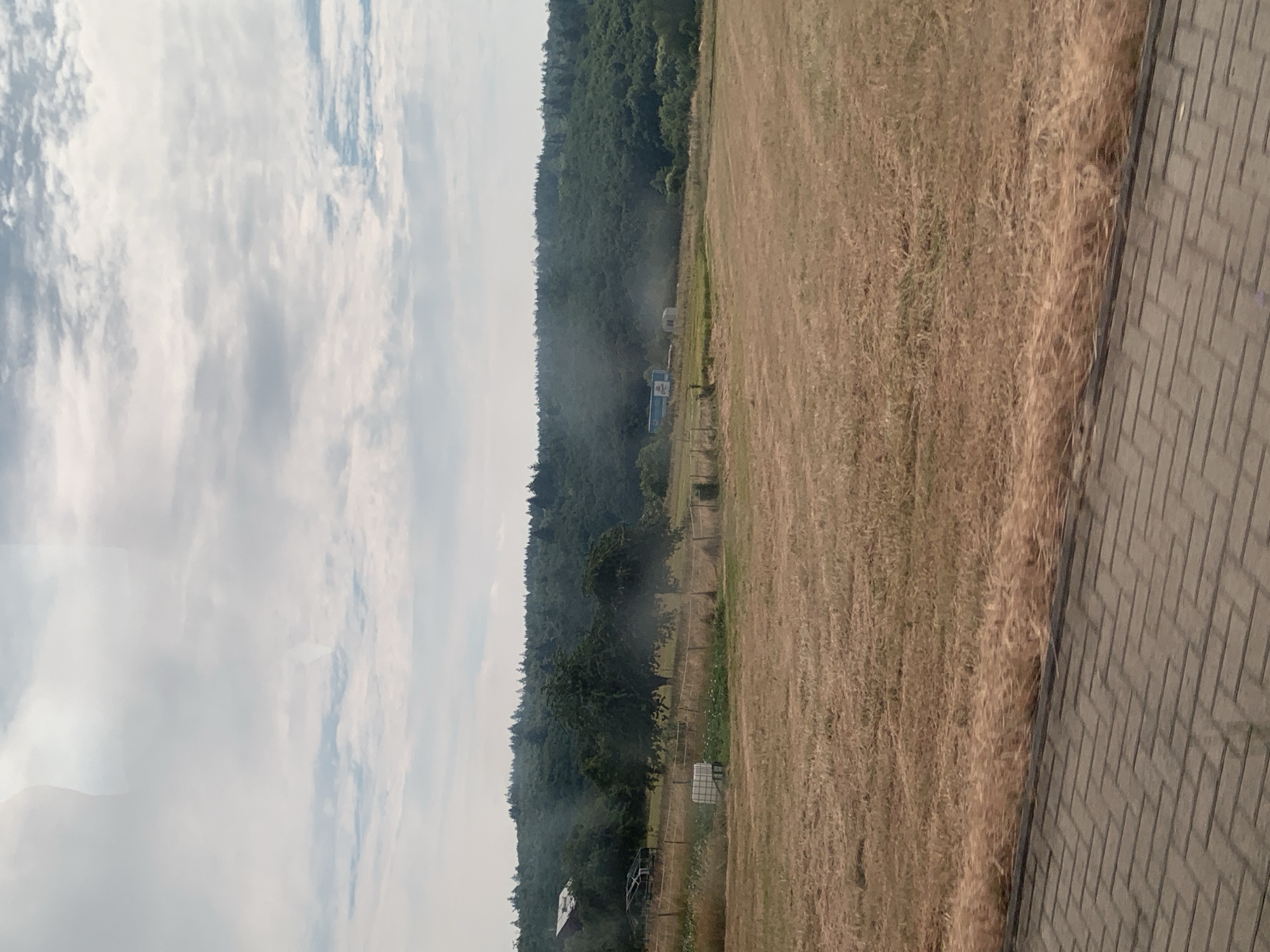 This is a landscape photograph, likely taken in Volpertshausen, Germany, that appears to be rotated 90 degrees counter-clockwise. The scene depicts a rural setting with a vast, dry, golden field of grass in the foreground, transitioning into a dense, dark green forest that forms a hillside in the background. The sky is filled with large, dramatic white and grey clouds, suggesting a partly cloudy day. A paved pathway with a brick pattern runs along the right edge of the frame, indicating a man-made boundary or walkway.
In the middle ground, near the edge of the forest, there are a few man-made objects. A small, light-colored structure resembling a shed or booth is visible, and next to it, a blue trailer or vehicle. A plume of light grey smoke is rising from the area around these objects, suggesting some kind of activity or event is taking place, possibly related to farming or a controlled burn. Fencing can be seen along the edge of the field, delineating it from the forest. Another structure, a white water tank or similar container, is visible further into the field, also near the fence line. At the very bottom left, a glimpse of a red-roofed structure, possibly a building, is visible.
The lighting suggests it is daytime, likely afternoon given the cloud cover and the angle of the light. The overall impression is one of a tranquil rural landscape with a hint of ongoing activity or a recent event indicated by the smoke. No text is visible in the image.