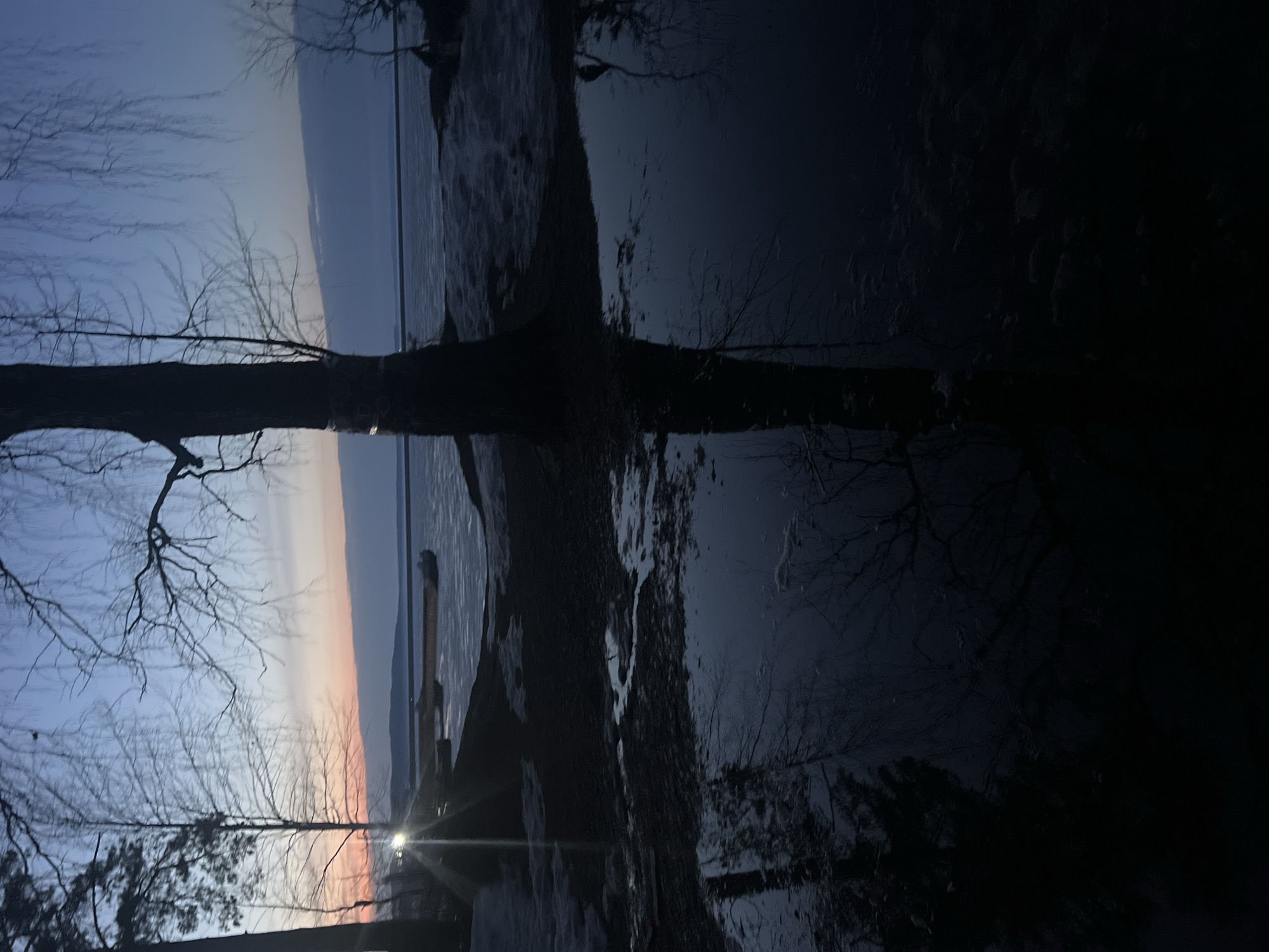 The image depicts a body of water, likely a river or lake, at twilight or dawn, possibly in Chaikovsky, Russia. Bare tree branches are silhouetted against a sky transitioning from light to dark, with hints of orange on the horizon. A stark reflection of the sky, trees, and distant shore appears in the water, creating a symmetrical effect. The foreground contains dark, unidentifiable objects near the water's edge. A faint light source is visible, possibly a distant street lamp or a natural glow.