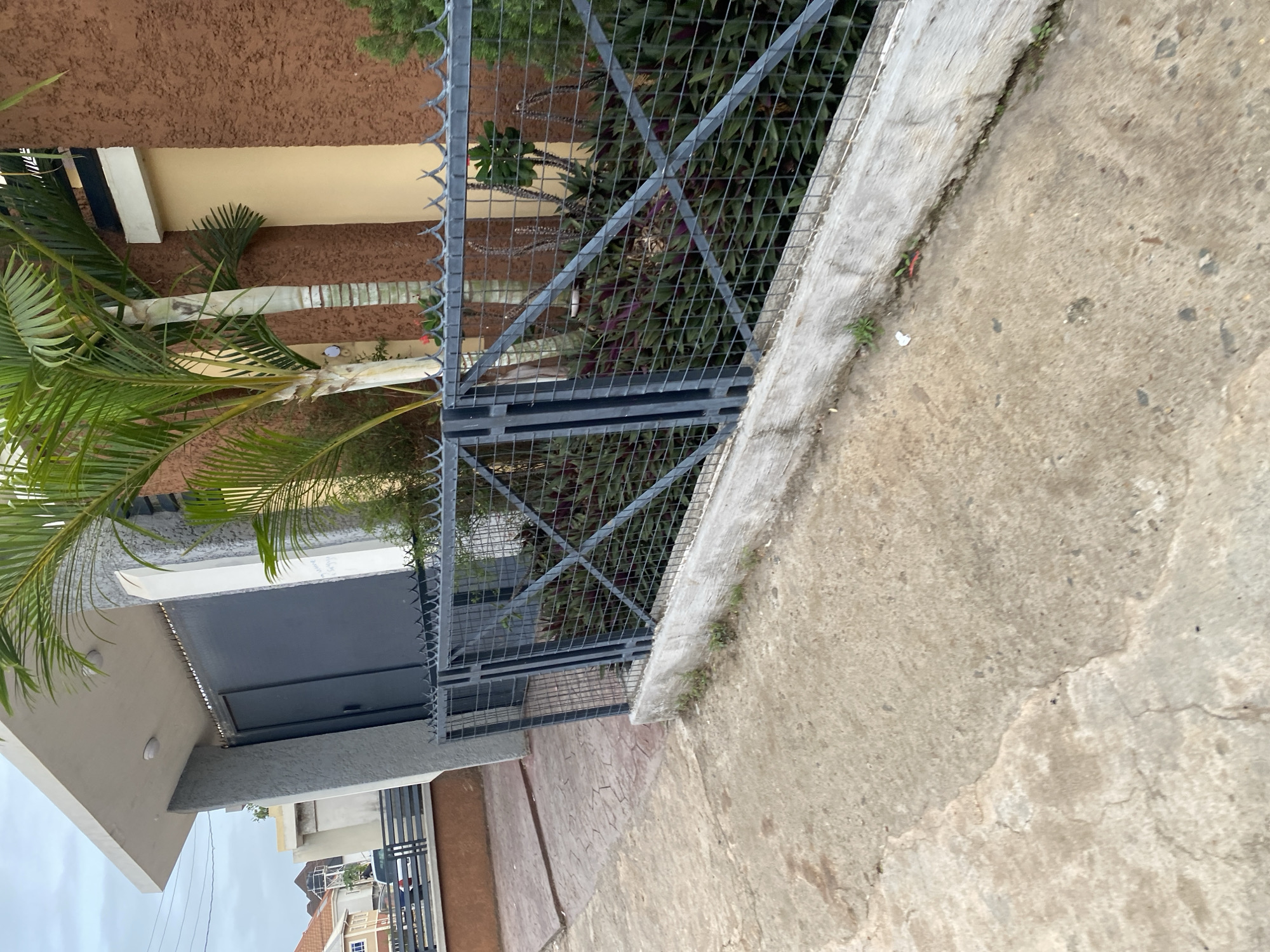 The image shows a street view in Jos, Nigeria, with a focus on the entrance to a property. A dark gray metal gate with decorative pointed tops is visible, set within a concrete wall. Adjacent to the gate is a section of dark gray metal fencing with a diamond-shaped mesh pattern, supported by a concrete curb. Beyond the fence, lush green vegetation with some purple-leafed plants is thriving. Two palm trees stand tall on the right side of the frame, with one being more prominent and in the foreground, its fronds reaching towards the sky. The building facade behind the trees features a textured brown wall and a light yellow section. The ground in front of the fence is paved with concrete, showing signs of wear and cracks, with a patterned concrete walkway on the left. The sky above is overcast. In the background, a house with an orange roof and a water tower are discernible.