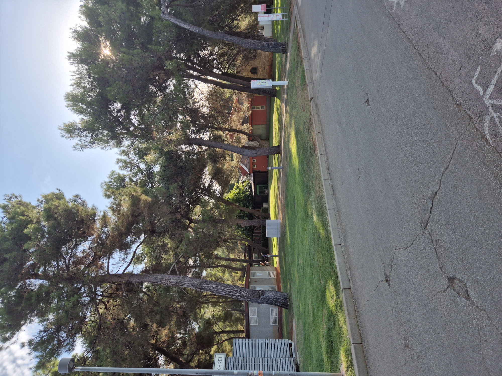 The image depicts a sun-drenched street scene in Umag, Croatia, likely a public park or campground area. Tall pine trees with dense green foliage dominate the background, with sunlight filtering through their branches, creating dappled light on the grass and pavement. In the mid-ground, a series of low-rise buildings with red roofs and light-colored walls are visible, some with open windows. The buildings appear to be part of a facility, possibly for accommodation or recreation.
To the left of the image, a modern-looking light post stands tall. Adjacent to it is a rectangular structure with horizontal white paneling, potentially a building or a storage unit, with the word "KEREI" visible on its side. A neatly mowed green lawn stretches between the pavement and the buildings, interspersed with mature trees. Several signposts with white backgrounds and possibly informational content are positioned strategically within the grassy area. Two individuals are visible walking in the mid-ground, one darker-skinned and wearing a yellow top and dark shorts, the other with lighter skin and wearing dark clothing and a backpack. They appear to be walking away from the viewer towards the buildings.
The foreground features a cracked asphalt road, indicating some wear and tear. The road surface shows various patterns of breakage and some patches of missing asphalt. The overall environment suggests a well-maintained outdoor space, likely a tourist area given the signs and infrastructure. The time of day appears to be late afternoon or early evening due to the angle of the sun and the warm lighting.