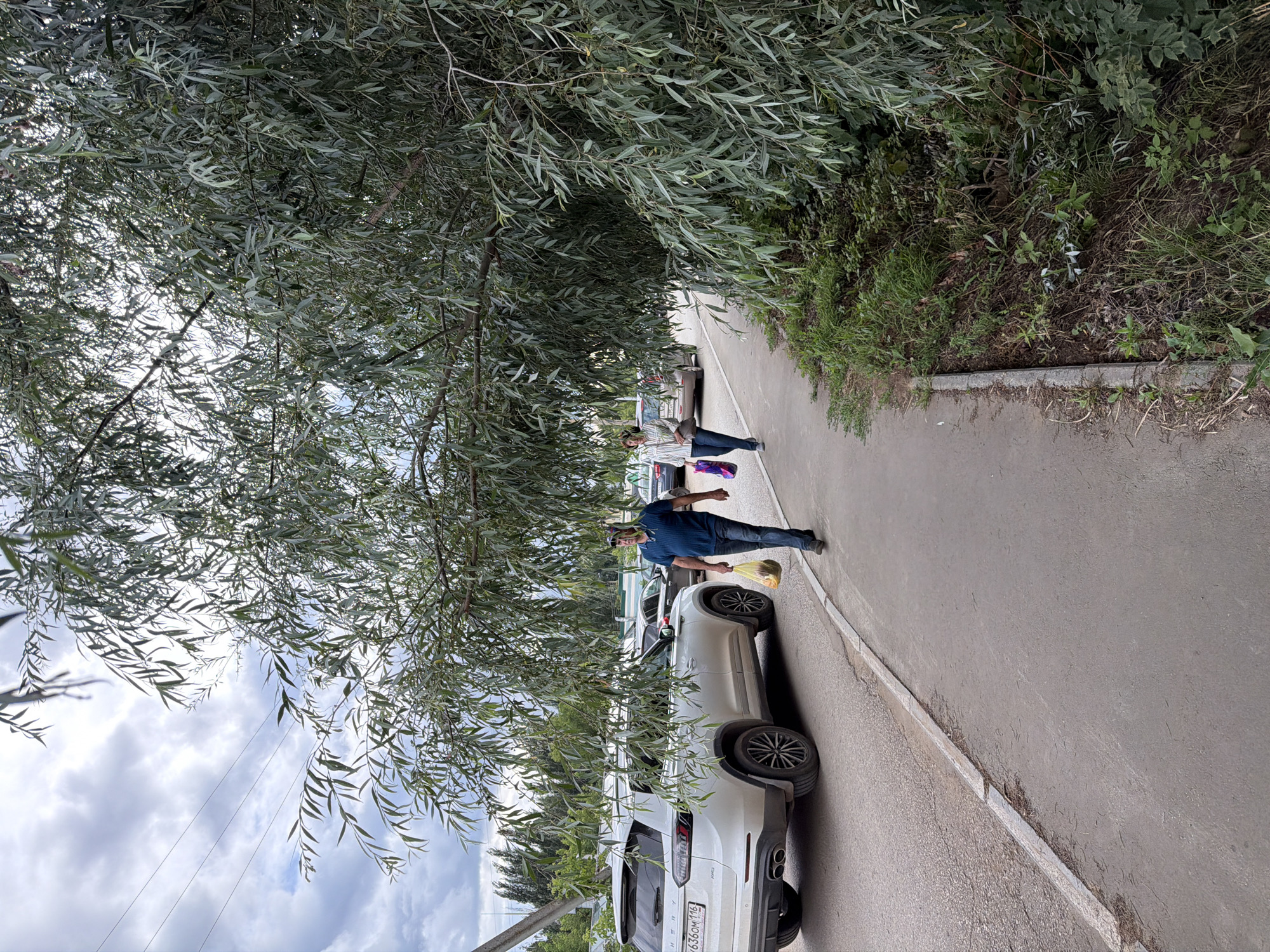 The image depicts a street scene in Yelabuga, Russia, on a cloudy day. A white Chery SUV is parked on the left side of the asphalt road, partially obscured by the branches of a large, leafy tree that hangs over the sidewalk. A man in a blue t-shirt and jeans walks on the sidewalk, carrying a yellow plastic bag filled with produce. Behind him, a woman wearing a striped shirt and jeans walks in the same direction, carrying a colorful tote bag. The sidewalk is made of concrete, with a curb separating it from the road. The area to the right of the sidewalk is overgrown with grass and vegetation. In the background, other vehicles are visible on the road, and power lines stretch across the sky. The overall impression is one of a casual, everyday scene on a street in Russia.