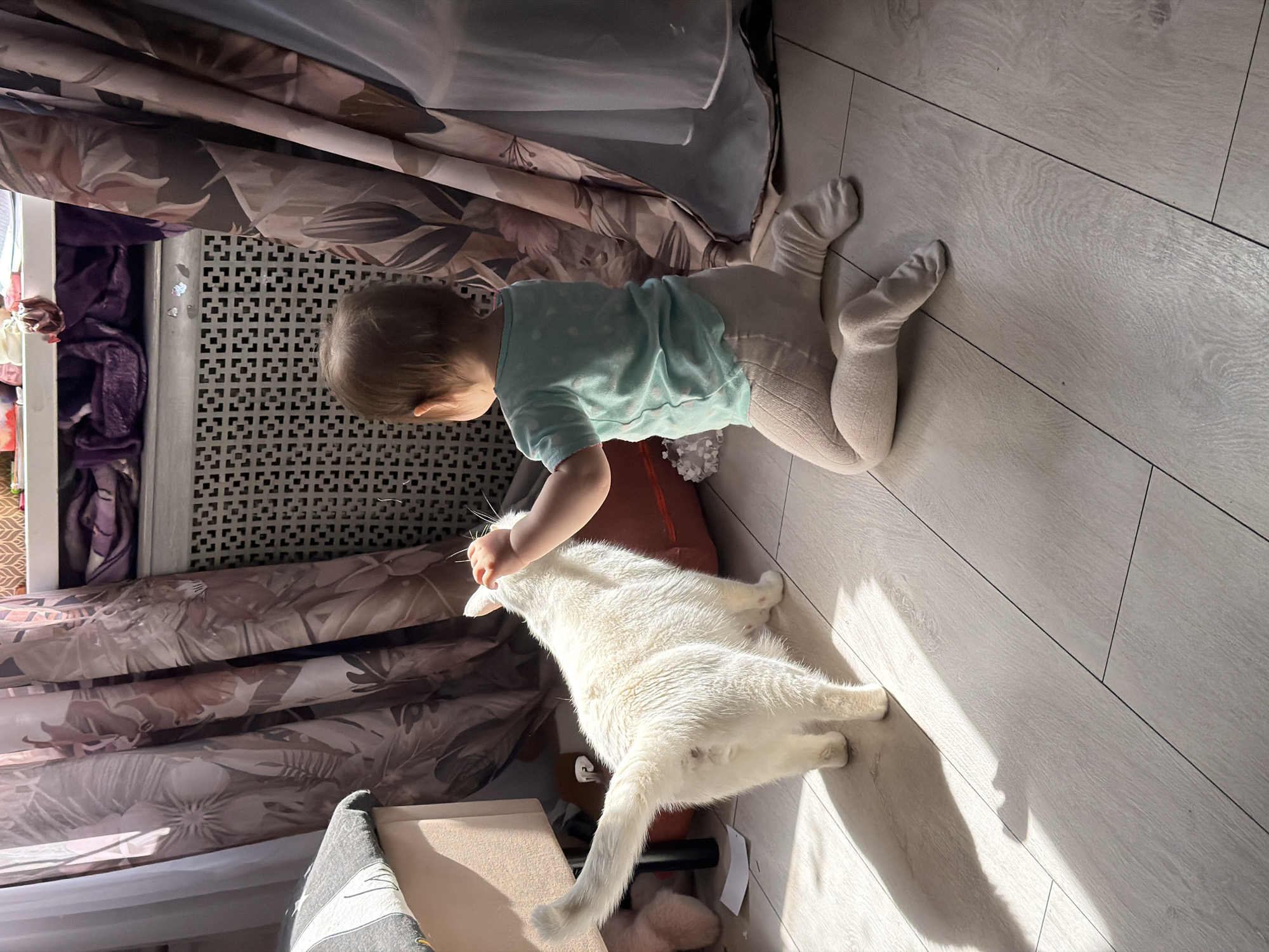 A child in a teal shirt and white tights lies on a light wood floor, reaching toward a white cat. The cat is lying on its side near the child. A window with patterned curtains and a radiator is to the side. The location is suggested to be Staraya, Russia, but there are no visual indicators to verify this.