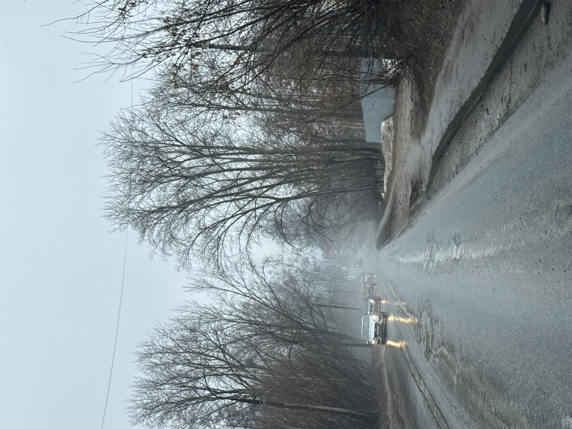 The image shows a wet asphalt road stretching into a hazy distance, flanked by bare trees on either side. Several cars with their headlights on are visible on the road, suggesting foggy or rainy conditions. The photograph appears to have been taken on a gray, overcast day. Based on visual details in the image, it is not possible to determine its location in Chaikovsky, Russia.
