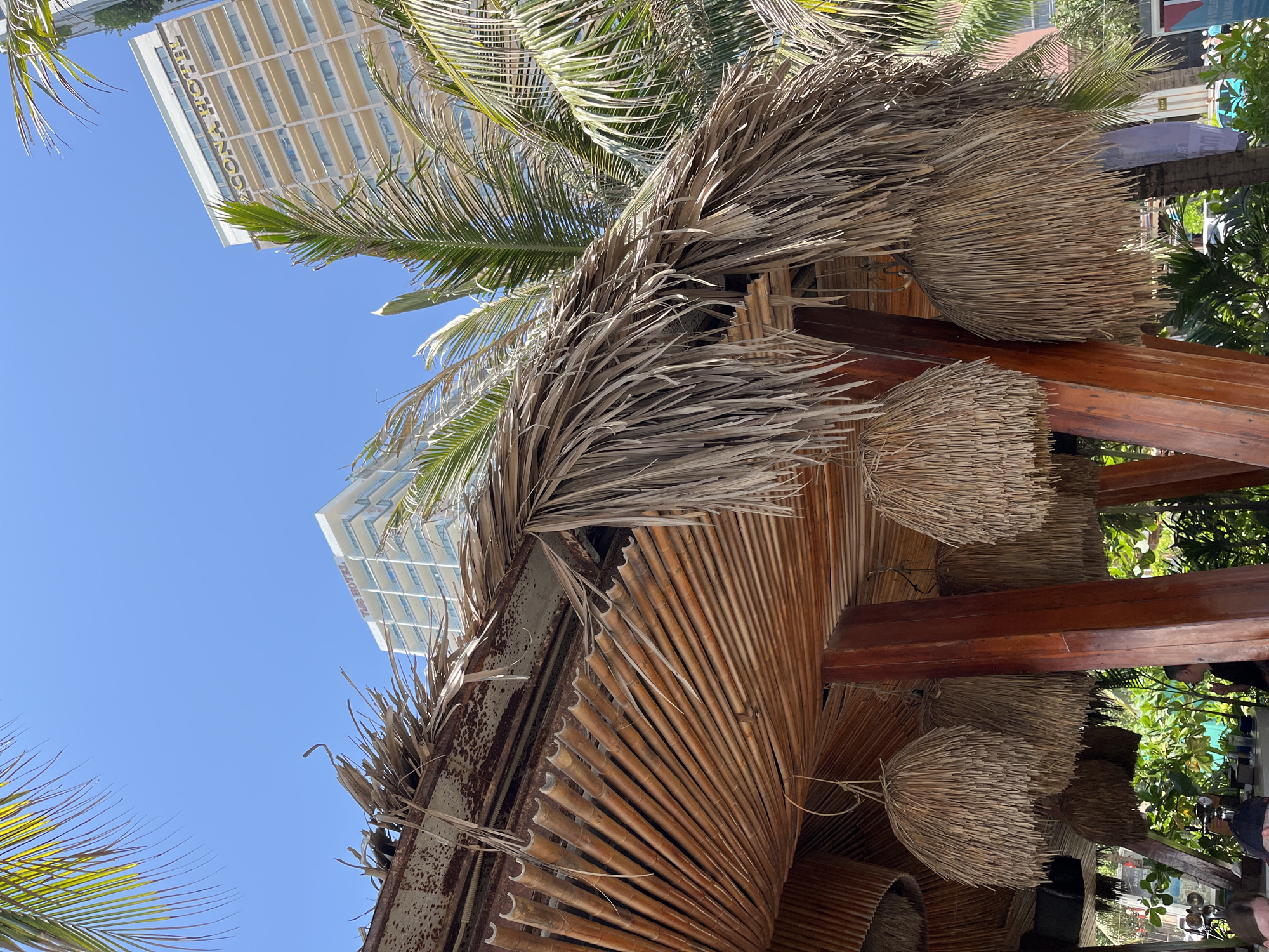 A low-angle shot of a tiki-style structure in Đà Nẵng, Vietnam. The roof is constructed of dried palm fronds and bamboo. There are several palm trees, and a tall building labeled "TMS HOTEL" in vertical lettering is visible in the background against a clear blue sky. The structure appears to be part of an outdoor bar or restaurant, with glimpses of people and foliage.