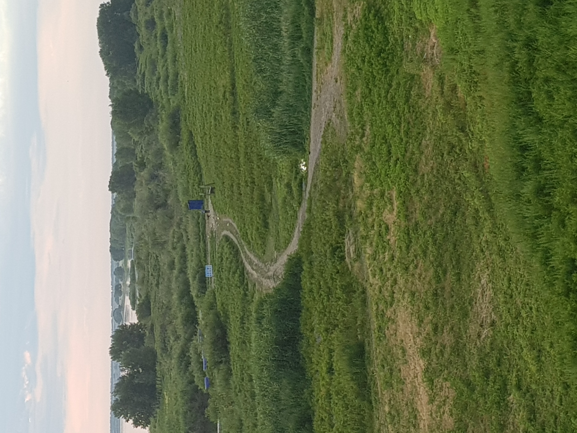 The image captures a wide view of a grassy, somewhat wild landscape near the city of Kurchatov, Kazakhstan. The terrain is characterized by rolling hills covered in lush green vegetation, with some areas appearing drier and lighter brown. A winding dirt path cuts through the grass, leading the eye deeper into the scene.
In the background, a body of water, likely a river or lake, stretches across the horizon. The water is calm and reflects the overcast sky. Dense clusters of trees and shrubs line the banks of the water, creating a natural barrier between the open fields and the water. The sky above is a soft, muted gray with hints of pink and white, suggesting either early morning or late evening.
A few man-made objects are visible. On the left side of the frame, near the water's edge, several blue structures that appear to be boats or kayaks are partially submerged or resting on the bank. Further into the field, closer to the dirt path, is a small blue structure, possibly a shed or a restroom facility, accompanied by a wooden post. A sign with a blue border is also visible in the vicinity of the blue structure. No people are clearly identifiable within the frame, though the presence of the structures and the path suggest human activity in the area. The overall atmosphere is one of natural beauty and tranquility, with a subtle indication of human presence.