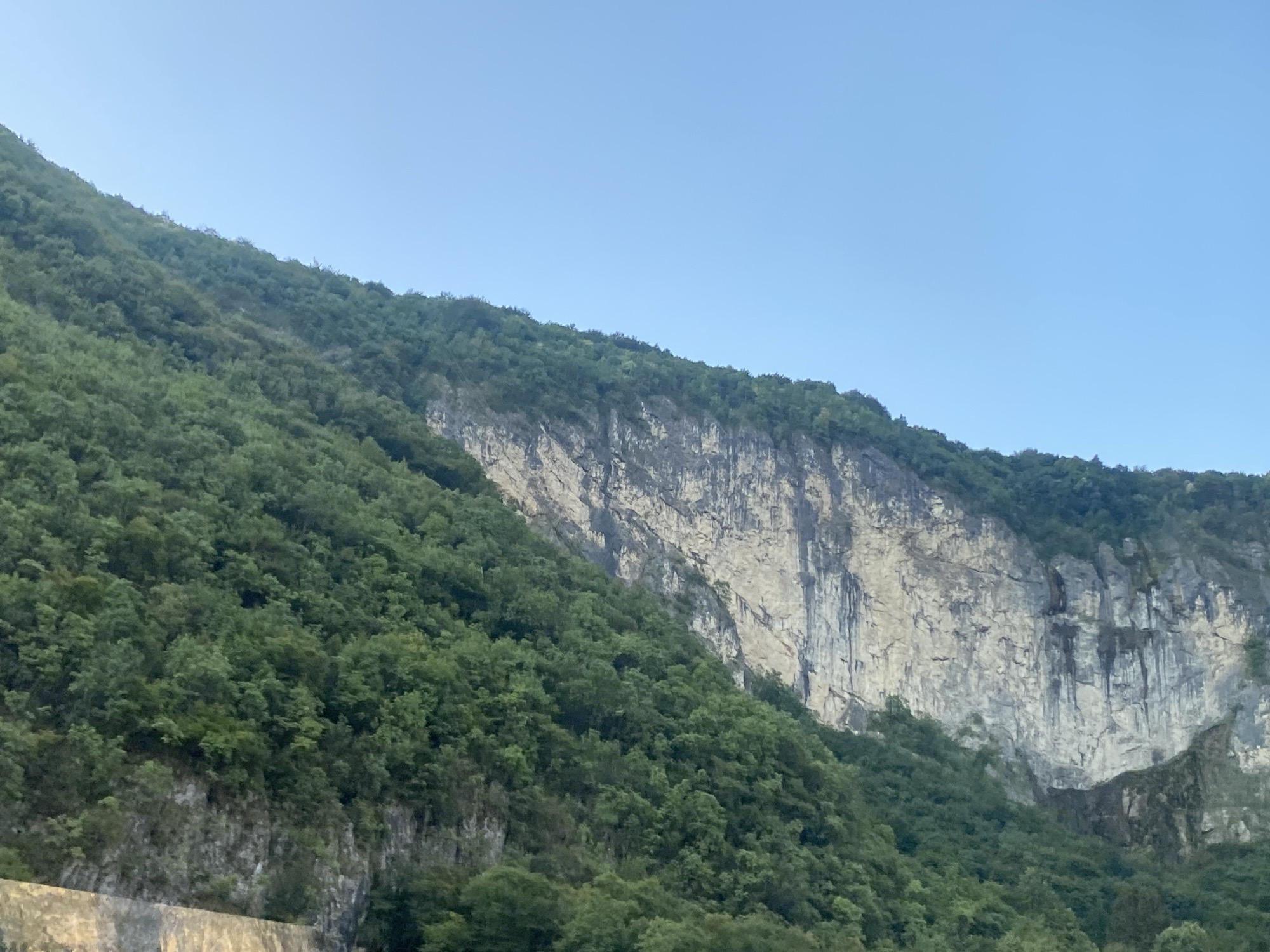 The image depicts a steep, tree-covered mountainside with a prominent rock face. The vegetation, primarily lush green trees, covers a significant portion of the slope, appearing dense and varied in texture. A large, sheer cliff face is visible, characterized by vertical streaks and variations in color, ranging from light gray to darker, almost black, vertical lines. The sky above is a clear, light blue, with no clouds visible. The lower portion of the image shows a section of what appears to be a man-made structure, possibly a wall or embankment, with a rough, textured surface. The scene suggests a natural, mountainous environment, likely on the outskirts or in the vicinity of San Michele all'Adige, Italy.