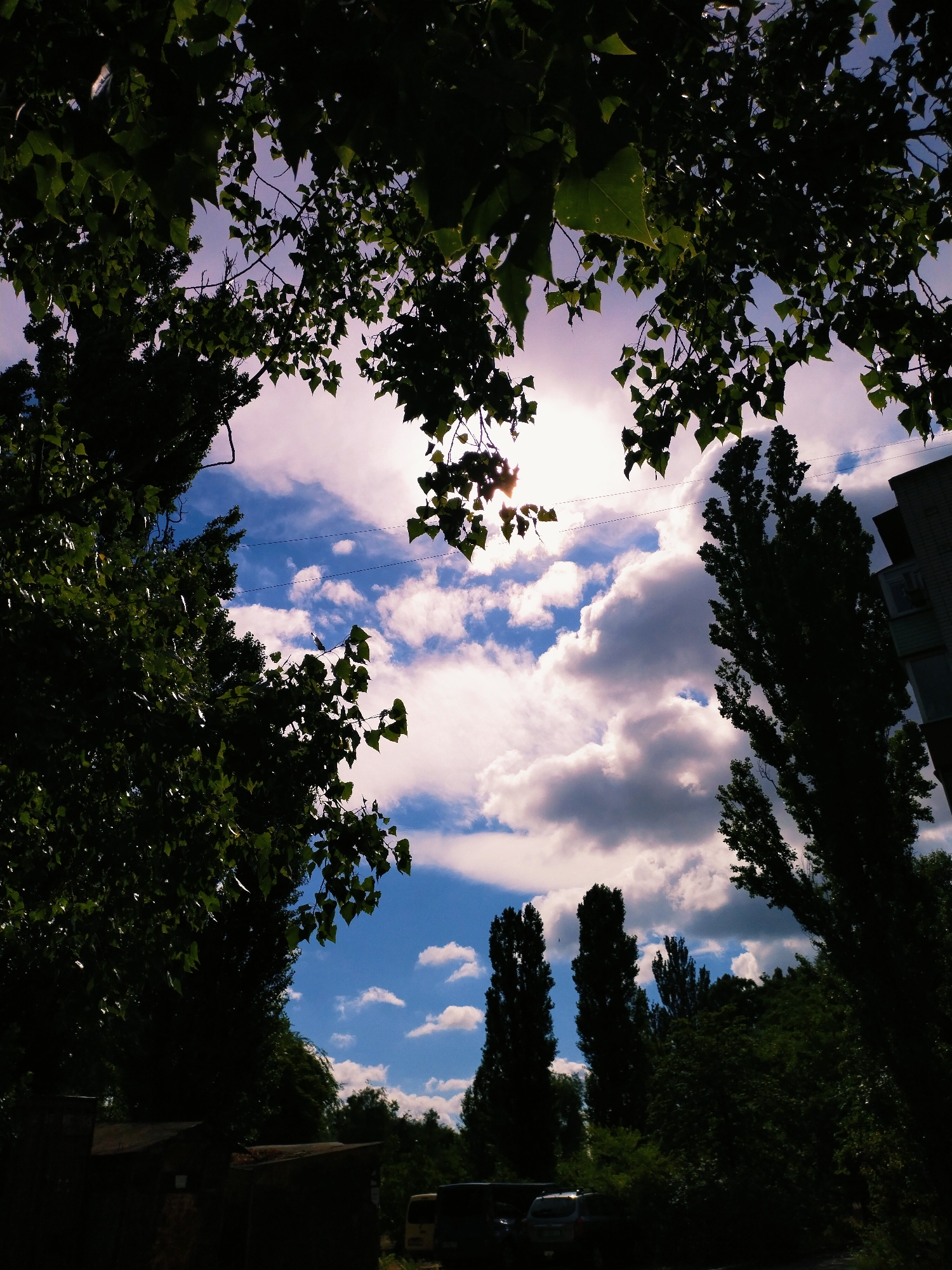 This is a low-angle, wide shot taken outdoors, likely in a residential area of Horishni Plavni, Ukraine. The frame is dominated by the dark silhouettes of lush green trees with leaves obscuring the upper portion of the sky. The sky itself is a mix of vibrant blue and white, with fluffy cumulus clouds. The sun is visible, casting a bright, diffused light, suggesting it is daytime, possibly late afternoon due to the lighting.
In the middle ground, several tall, slender trees are silhouetted against the sky. To the right, a portion of a multi-story building, constructed of brick, is visible. The lower part of the image shows a dark foreground with what appears to be low-rise structures and the top of vehicles. A light-colored van and a dark-colored SUV are parked in the lower right corner. The overall impression is one of urban greenery, with trees and a building coexisting.