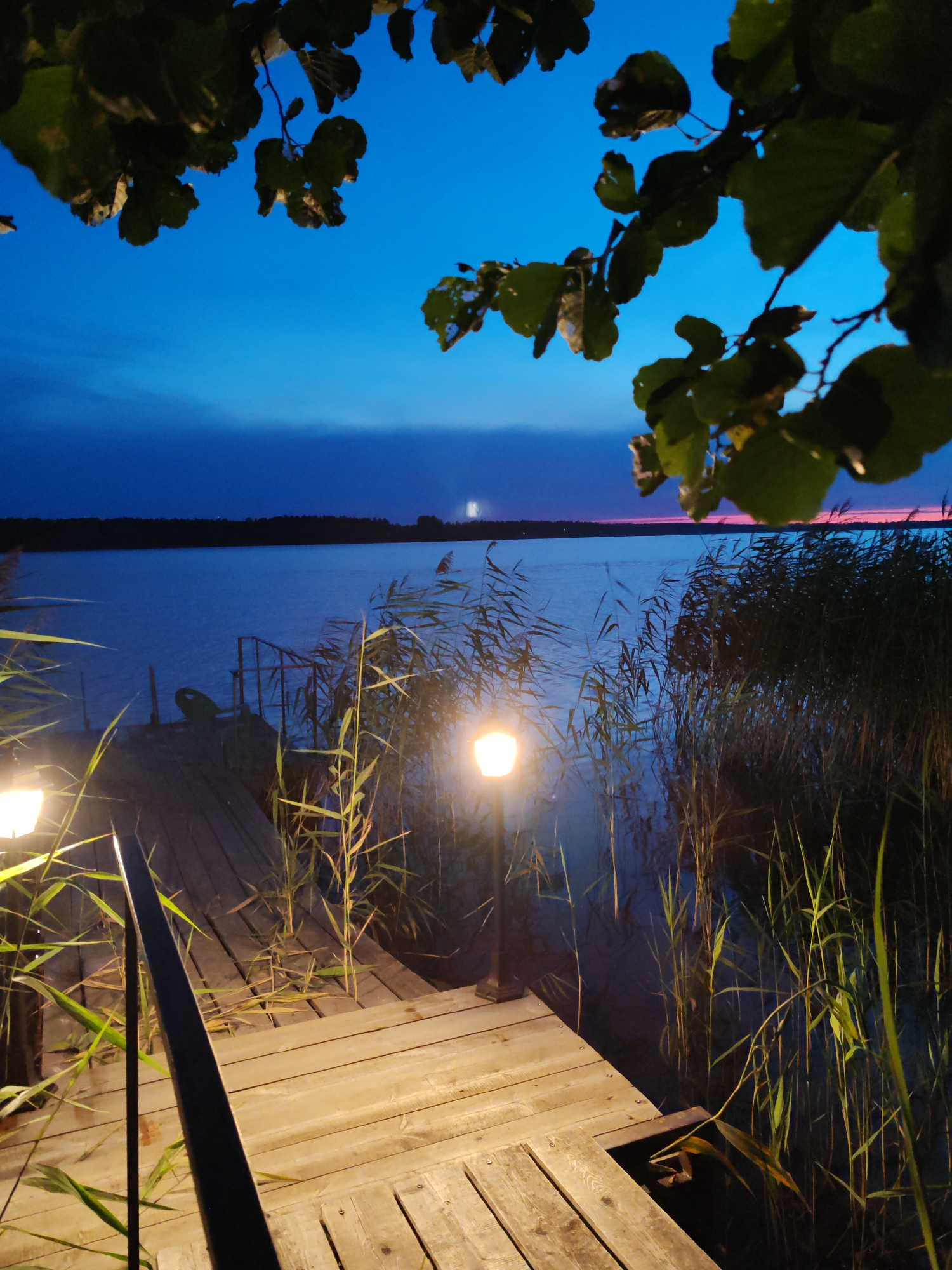 The image depicts a wooden boardwalk leading to a body of water, possibly a lake, at dusk or dawn. The sky is a deep blue, transitioning to lighter hues near the horizon. Tall reeds and grasses grow along the water's edge, and two illuminated lamps are visible, one on the boardwalk and another further down. Trees with dark green leaves frame the top of the image, silhouetted against the sky. The water appears calm, reflecting the dim light. The scene suggests a quiet, serene natural setting. The location is specified as Mysovoe, Russia.