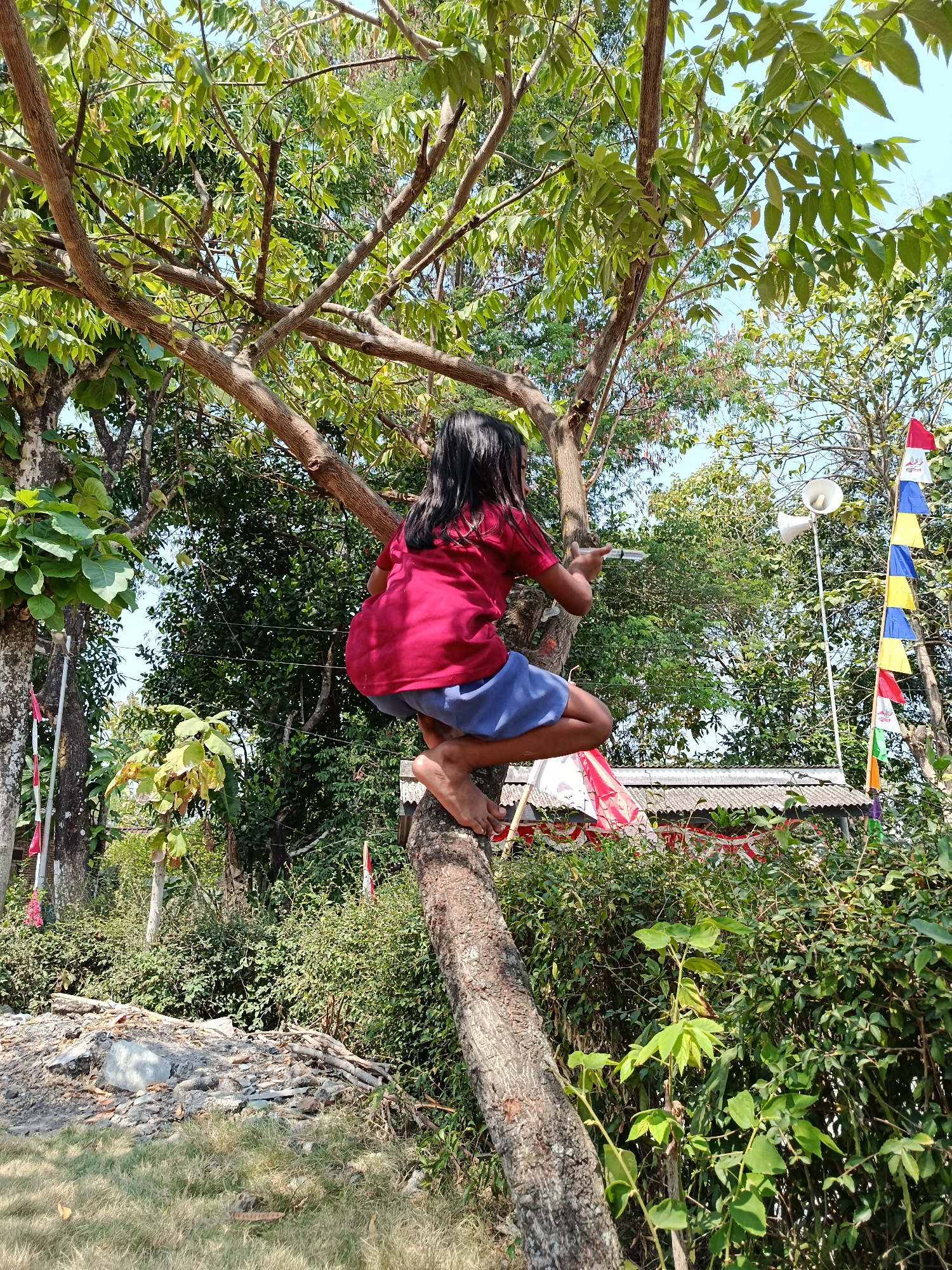 A young person with long, dark hair is climbing a tree. They are wearing a red t-shirt and blue shorts. Their body is positioned on a thick branch, with their left leg bent and their right leg extended. The tree has rough bark and numerous branches with green leaves. In the background, there is dense green foliage, a building with a corrugated roof, a tall pole with a speaker, and a string of colorful triangular flags. The ground is covered in dry grass and a pile of debris. The scene appears to be outdoors in a rural or semi-rural setting, possibly in Kemiri, Indonesia, given the presence of traditional Indonesian flags.