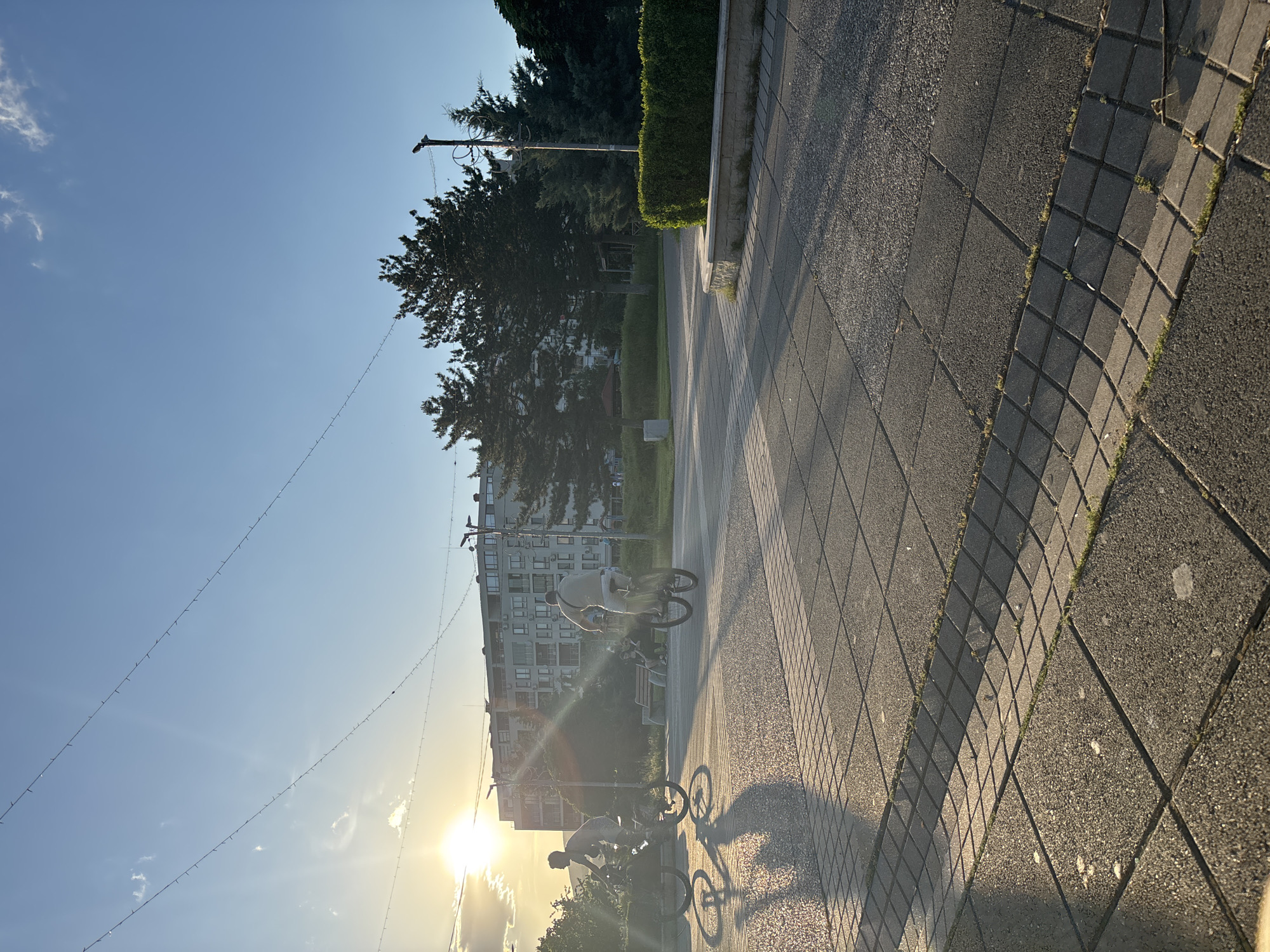 The image captures a street scene in Kardzhali, Bulgaria, at what appears to be late afternoon or early evening, given the low angle of the sun. The setting sun casts long shadows of people riding bicycles on the tiled pedestrian walkway. The walkway is paved with two types of tiles: large square tiles and diamond-patterned tiles, which are located along the edge of the walkway. A line of trimmed shrubbery runs parallel to the walkway. In the background, there is a multi-story apartment building and tall trees, and power lines are strung across the sky.