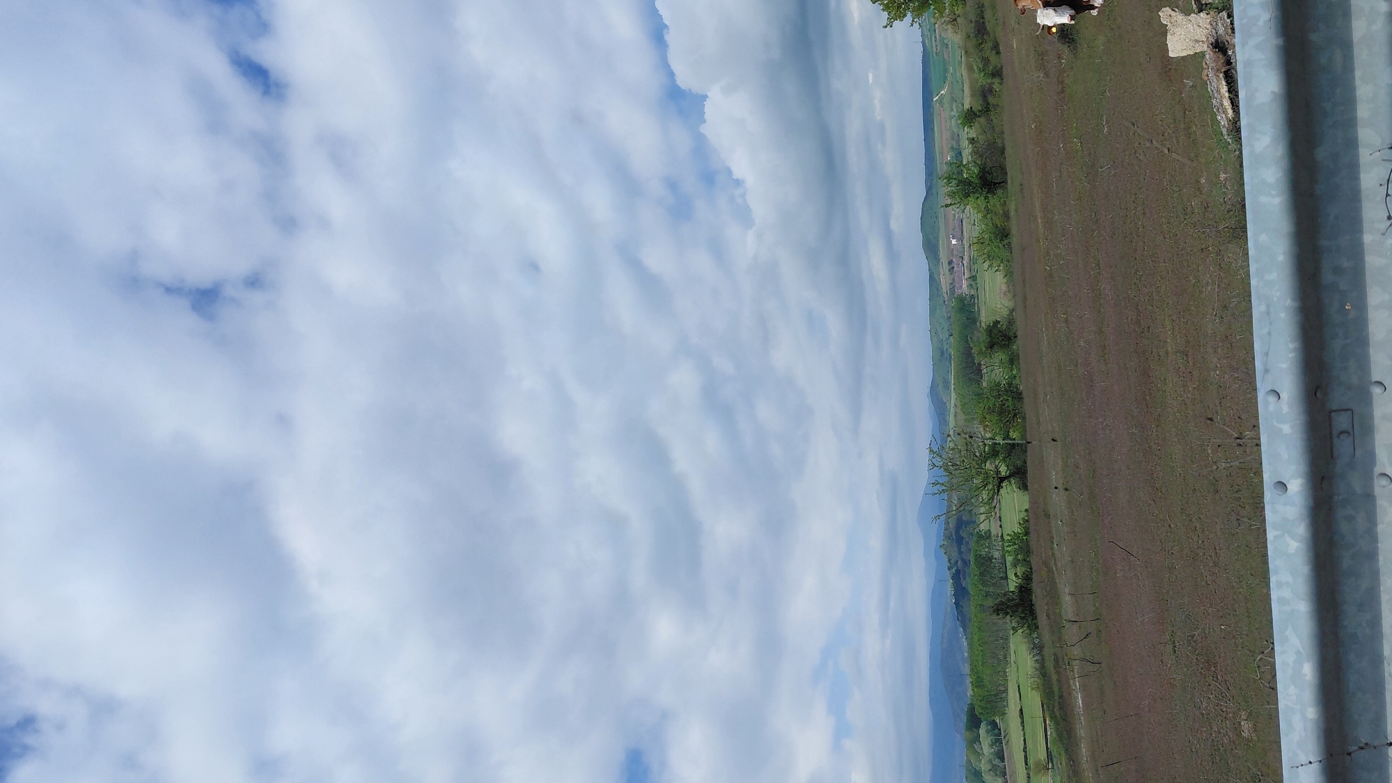 The image depicts a rural landscape, possibly taken from an elevated position such as a roadside. In the foreground, a gray metal guardrail is visible, suggesting the location is along a road. Beyond the guardrail, there is a field, primarily brown with patches of green vegetation. A line of trees separates the field from what appears to be a valley or lower-lying area with more dense green vegetation. In the background, there are hills or mountains fading into the distance. The sky occupies a large portion of the image and is filled with white and gray clouds, indicating a partly cloudy day. The orientation of the photo is rotated 90 degrees to the left, which may impact the perception of the scene. There are a couple of indistinct objects that appear to be cows in the top right part of the image. The location and date are unknown.
