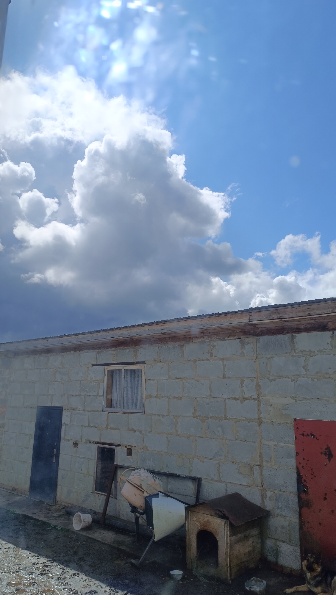 A frontal, slightly low-angle, vertical shot captures a building with a cinder block facade under a sky with dramatic, sunlit clouds. The building, which appears to be a workshop or storage structure, has a corrugated metal roof with exposed wooden supports at the front edge. A dark blue door is visible on the left, with a small window above it. To the right of the door, there is a small, dark opening. In front of the building, various items are scattered: a white bucket, a concrete mixer, a metal frame, a doghouse, and two bowls. To the far right, a red door is set into the wall, and a German Shepherd-type dog is lying down in front of it. The ground in front of the building is a mix of dirt and possibly gravel, with some areas appearing wet. The sky is a vibrant blue, with large, billowing clouds that are partially illuminated by the sun, creating bright highlights and darker shadowed areas. The scene is set in a rural or industrial outskirts location, potentially in the city of Karsha, Russia.