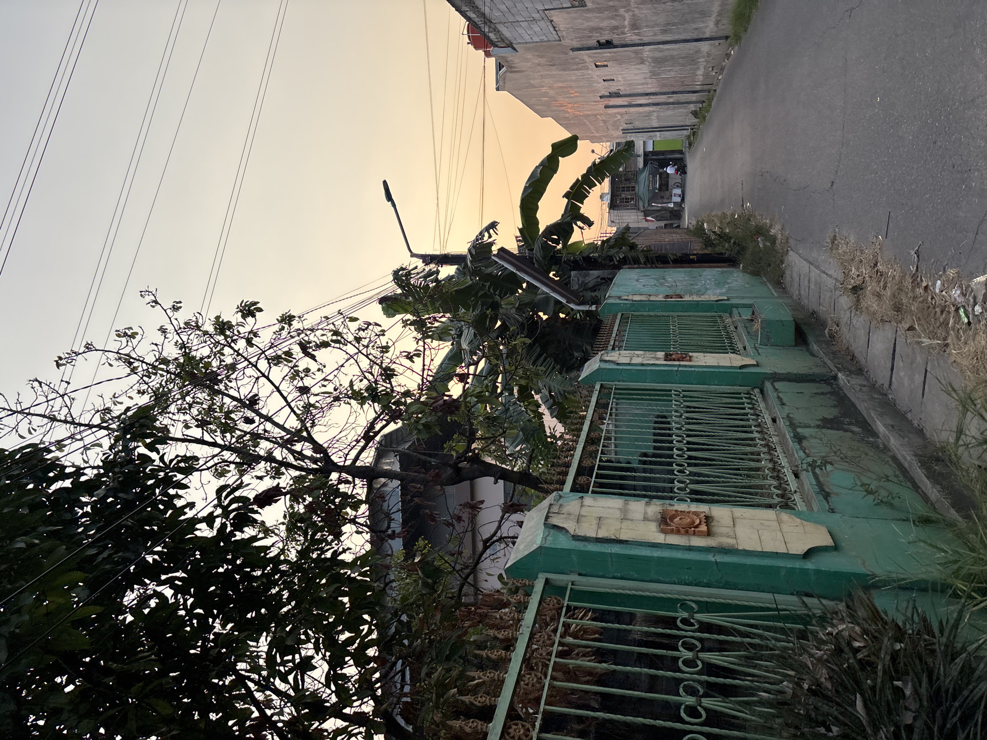 An outdoor, eye-level, medium shot captures a street scene at dusk in Bekasi, Indonesia. The sky is a soft gradient of yellow and orange. The left side of the frame is dominated by a green metal fence with decorative elements and a textured concrete base, partially obscured by dark green foliage and a bare tree. Behind the fence, a building with a dark roof is visible. To the right of the fence, a paved road stretches into the distance, flanked by concrete buildings on the right. A street lamp stands near a cluster of large green leaves. Further down the road, a food stall with a white cart and a green awning is visible, with a person on a motorbike in front of it. The road has some debris and dry grass along its edges. The overall impression is a quiet residential street during the transition from day to night.