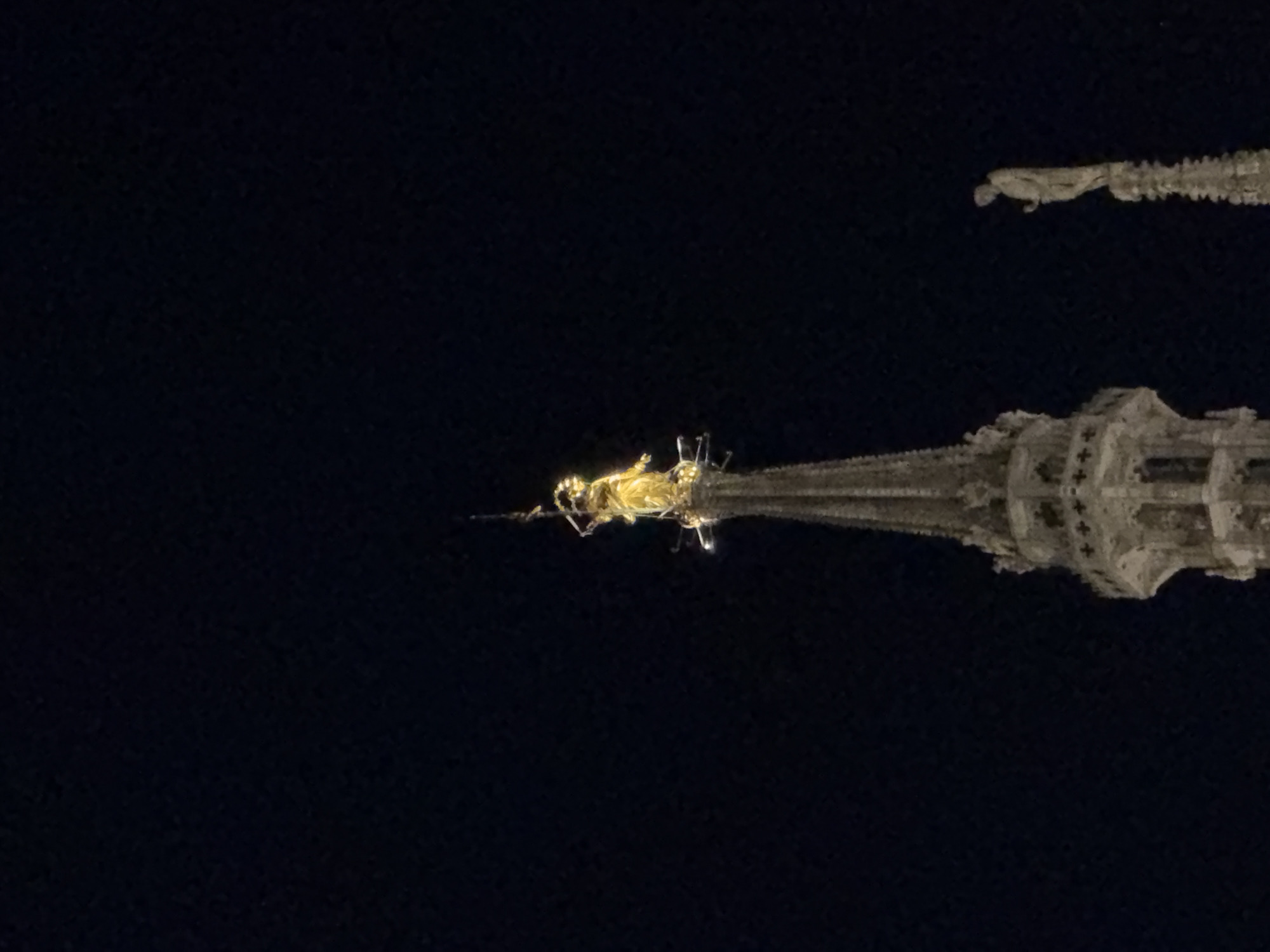 The image shows the Duomo di Milano (Milan Cathedral) at night. A prominent, gilded statue of the Madonna is illuminated atop the tallest spire. To the right, another statue of a standing figure is visible on a smaller spire. The sky is dark, suggesting nighttime. The architectural details of the spires, with intricate Gothic stonework, are discernible.