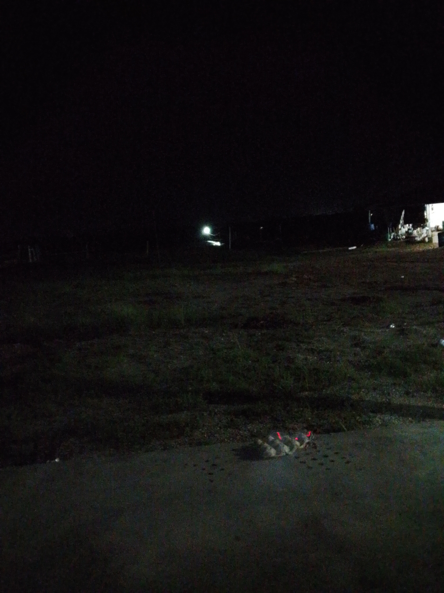 The image, taken at night, appears to show the edge of a road adjacent to a grassy area, possibly a field or open space. In the distance, there's a building with a visible light source. A small pile of something sits near the road edge, with faint red glow emanating from it. There are also scattered dark spots on the road surface near the pile. The location is described as Bukit Ketok, Indonesia.