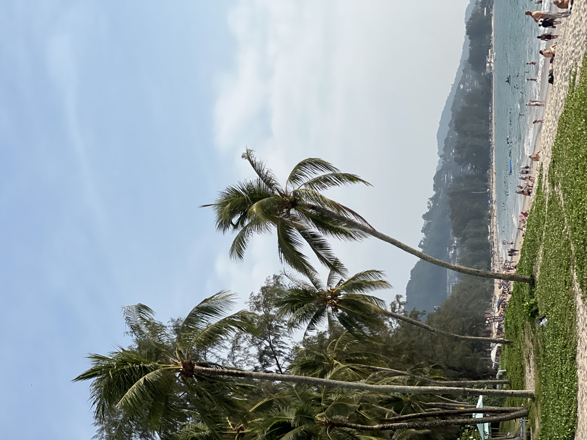 The image depicts a coastal scene in Choeng Thale, Thailand. In the foreground, several palm trees with green fronds are visible against a light blue sky with scattered clouds. The background showcases a crowded beach with many people. The beach is bordered by a mountain slope. The ocean is visible behind the beach.