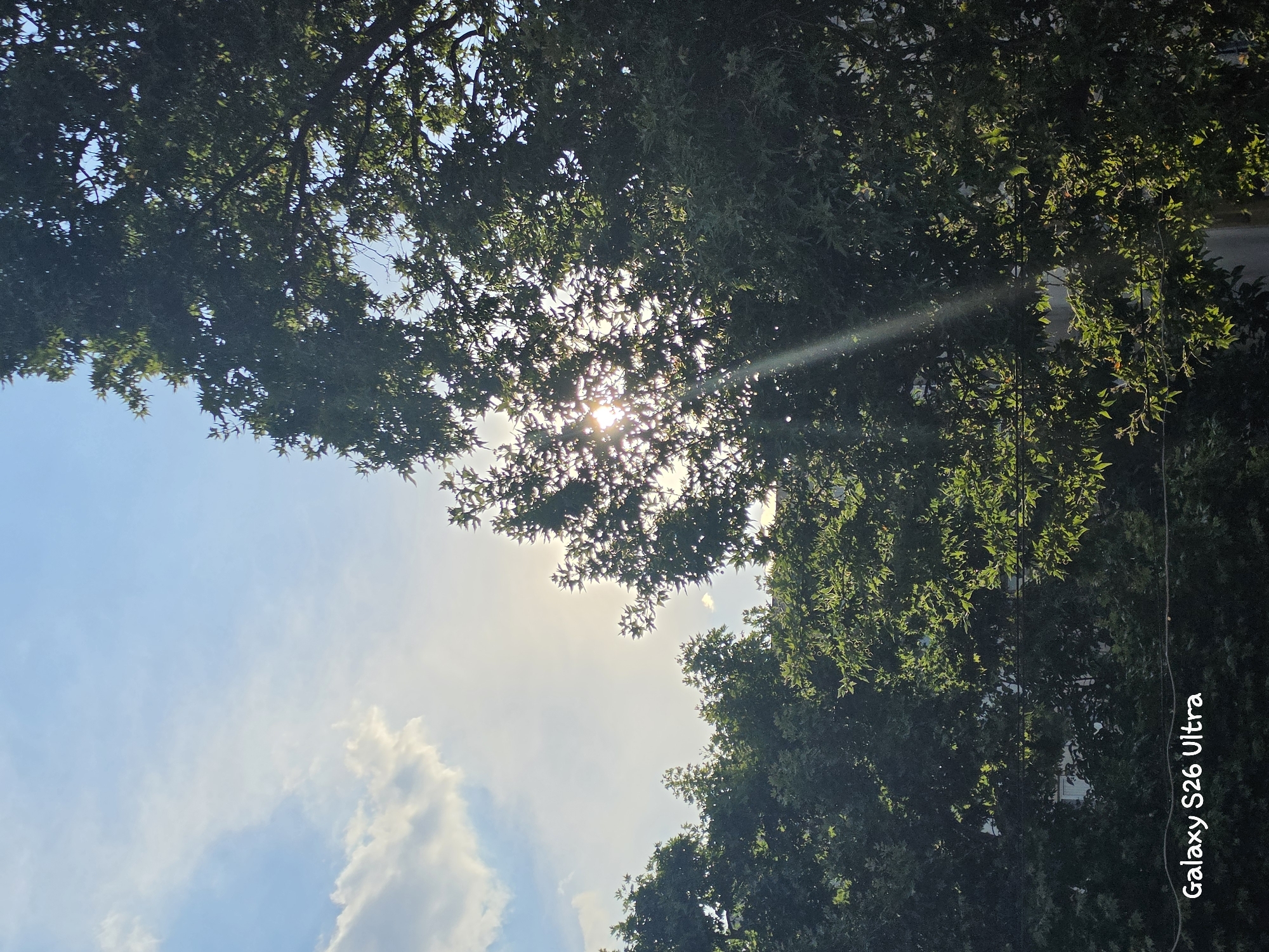 This is a photograph taken from a low angle, looking up through the canopy of a leafy tree towards the sky. The sun is partially obscured by the dense foliage, creating a bright flare and casting dappled light through the leaves. The sky is a bright blue with scattered white clouds, suggesting it is daytime. The sun's rays create a visible beam of light cutting through the upper right portion of the image. The scene appears to be outdoors, possibly in a park or residential area with trees. The orientation of the image is portrait, with the top of the frame oriented towards the left. A watermark at the bottom right of the image reads "Galaxy S26 Ultra". The overall mood is serene and natural, with the interplay of light and shadow creating a dynamic visual. The time of day appears to be late morning or early afternoon, given the bright sunlight. No people or specific objects are prominently featured, with the focus being on the natural elements of the trees and sky.