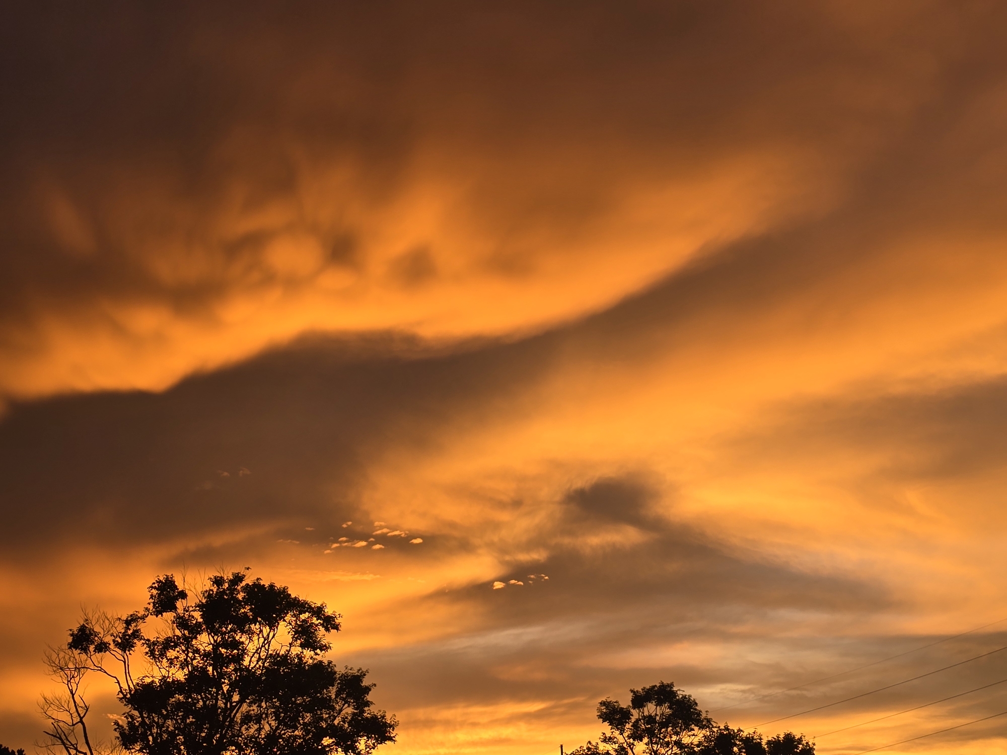 A silhouette of trees is visible against a dramatic sky during sunset. The clouds are painted in shades of orange and yellow, with darker, shadowy clouds creating contrast. The scene appears to be a natural landscape, possibly on the outskirts of a city, given the presence of utility lines in the lower right corner. There are no people or discernible actions taking place in the image. The location is identified as Woodstock, United States of America.