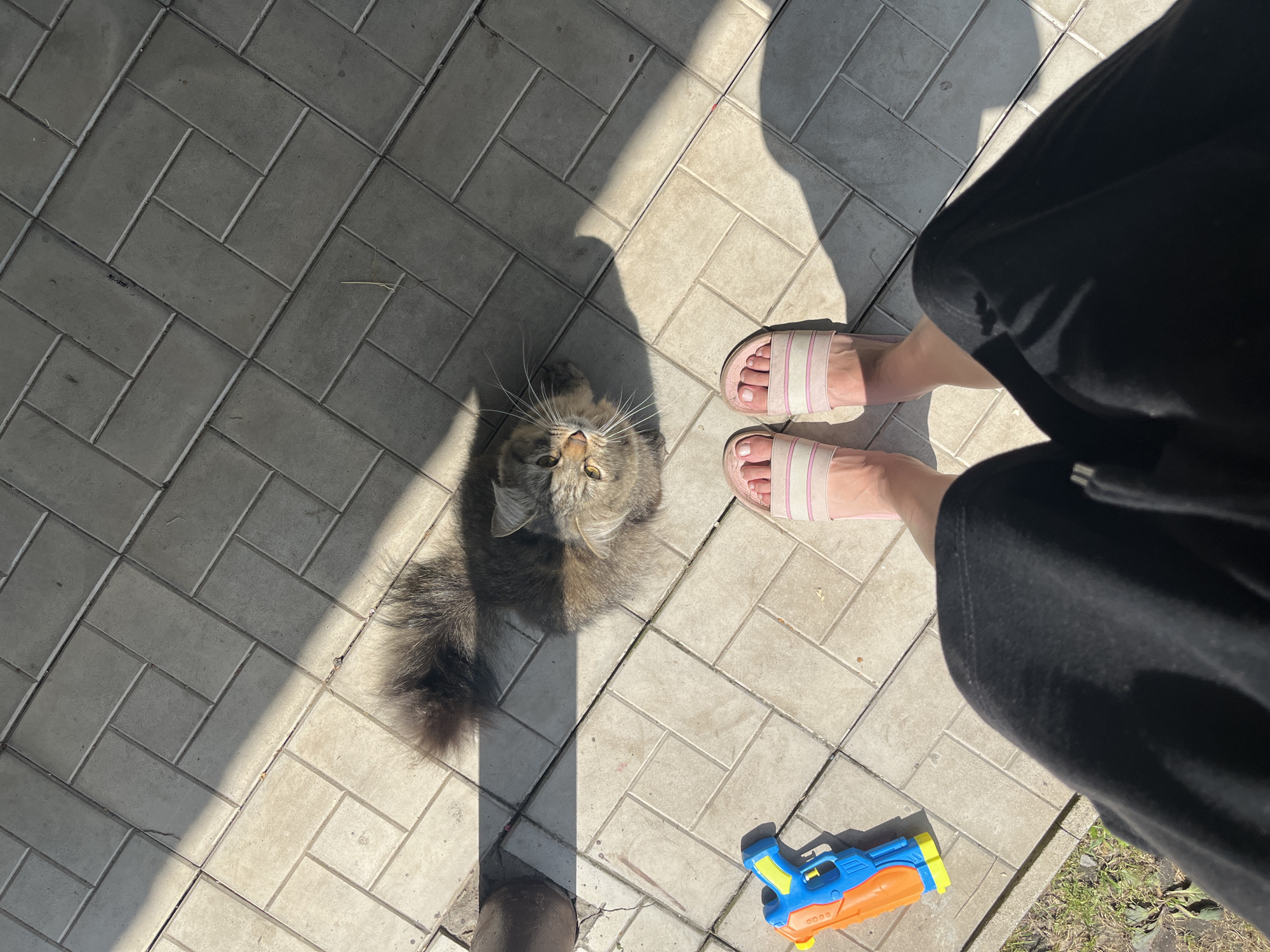 The image captures a top-down perspective of a person's legs and feet wearing pink and white striped slides, standing on a tiled patio. To the left of the person's feet is a blue and orange toy water gun. Further up and to the right, a fluffy gray cat with yellow eyes looks up towards the camera. The patio is partially covered in sunlight and shadows, cast by an unseen object. The environment appears to be an outdoor space, possibly a backyard or patio area. The image was taken in the city of Babruysk, Belarus.