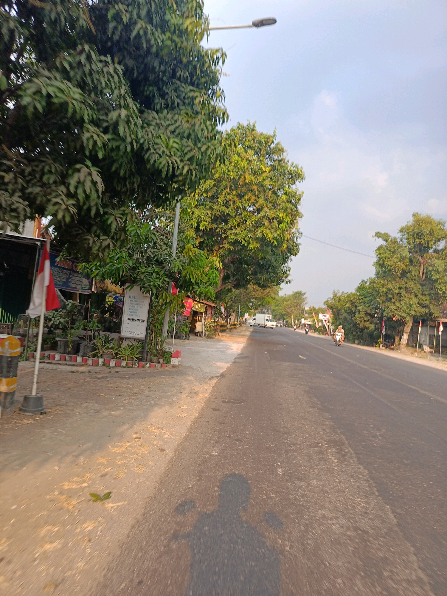The image shows a road scene in Kincang Wetan, Indonesia, likely taken from a moving vehicle. The perspective is low, suggesting it was captured from a motorcycle or similar vehicle. A shadow of the rider and the vehicle is visible on the road.
To the left of the road, there is a sidewalk with vegetation, including potted plants and trees. A flagpole with an Indonesian flag is present. Behind the flag, there are signs and a building that appears to be a shop or business, with text on the signs including "JUALL" and "TOKO MACANDAN".
The road itself is asphalt and appears to be a two-lane road with traffic moving in both directions. Several vehicles are visible on the road, including a white truck, a motorcycle with a rider, and other vehicles further in the distance. The environment is characterized by trees lining the road, some of which are quite large and leafy. The sky is partly cloudy, and the lighting suggests it is either early morning or late afternoon, with a warm, golden hue cast on the scene. The overall impression is of a typical roadside scene in a semi-urban or rural area of Indonesia.