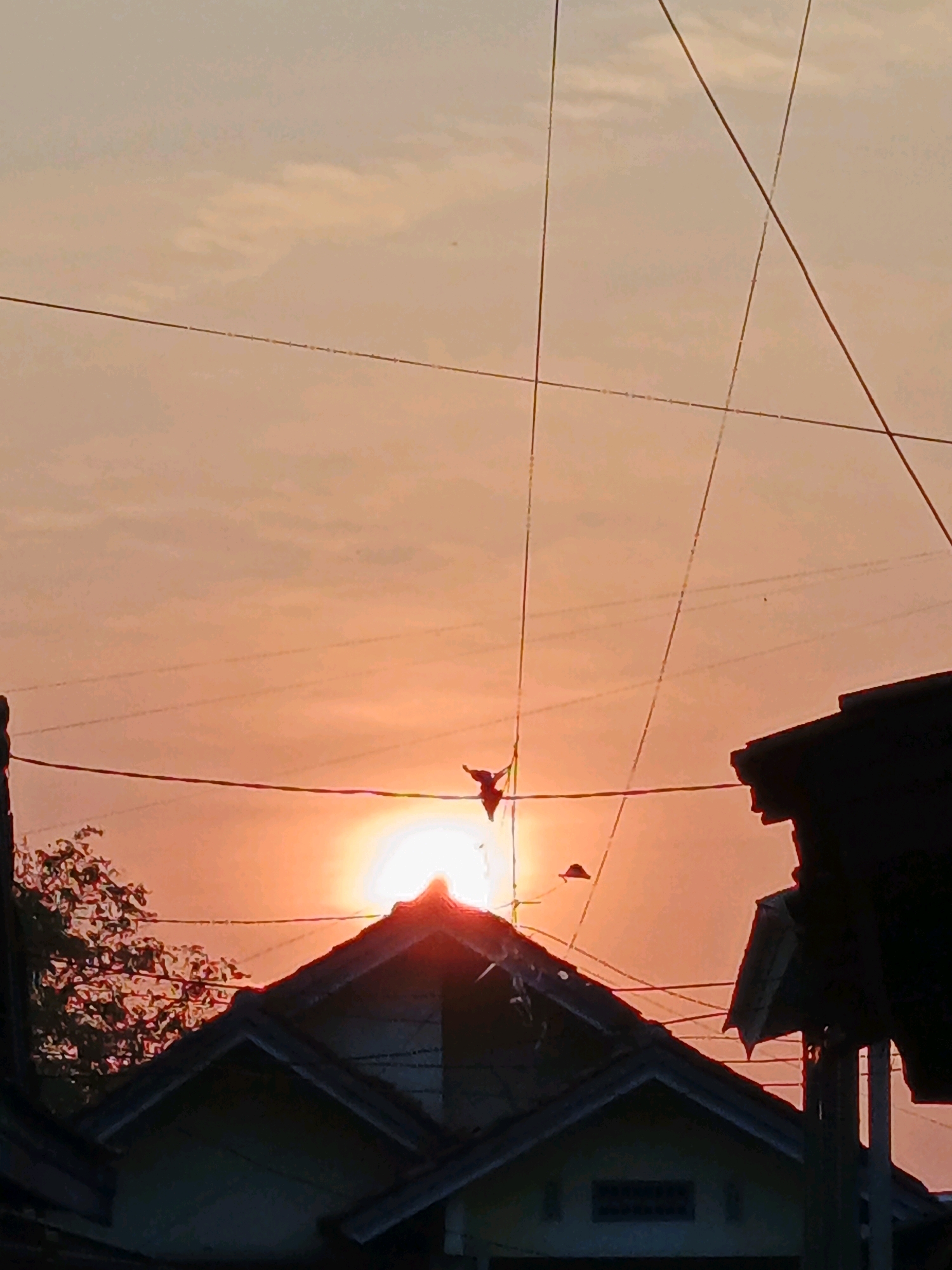 The image depicts a sunset in Muntur, Indonesia, as seen through a network of power lines. The sun, a bright orb of light, is partially obscured by the peak of a house, casting a warm orange glow across the sky. Silhouetted against the sunset are several elements: a bird in flight, a kite, and the rooftops of houses. The power lines crisscross the frame, creating a sense of urban landscape. The overall scene evokes a peaceful, everyday moment in a residential area of Muntur.