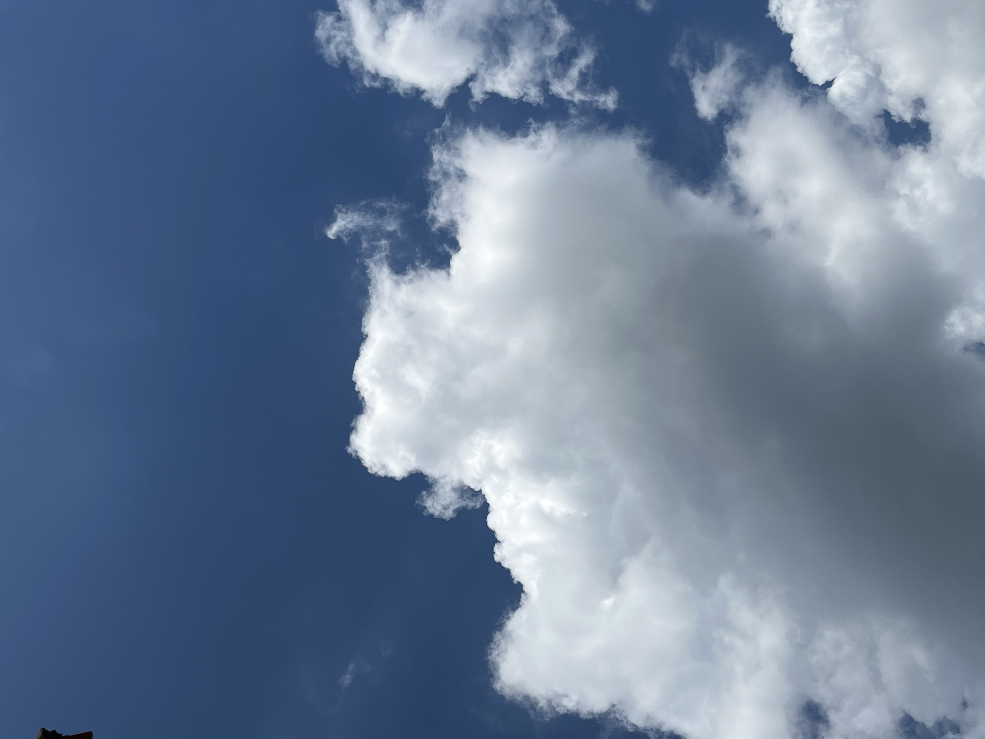 A low-angle shot reveals a bright blue sky partially obscured by a large, puffy white cumulus cloud. The cloud occupies the right side of the frame, casting a slight shadow. The sky, devoid of other clouds, transitions to a darker blue on the left side. Given the location in North Kuta, Indonesia, the weather is likely tropical. No people or structures are visible.
