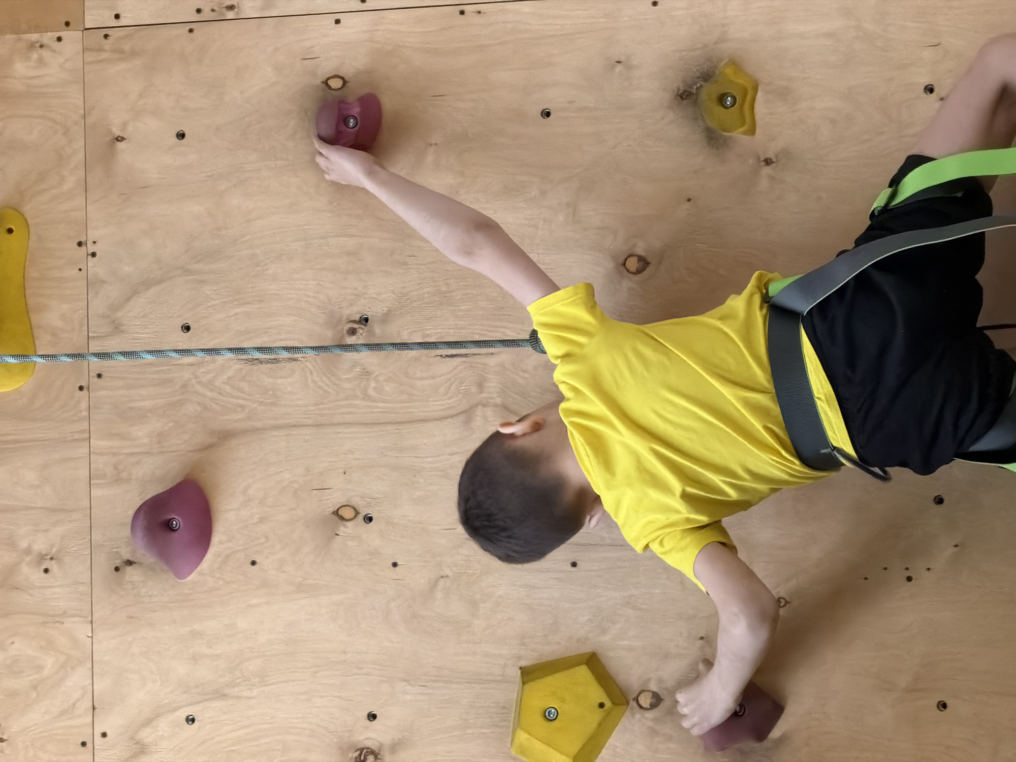 A boy is climbing an indoor climbing wall. He is wearing a yellow shirt, black shorts, and a climbing harness. The climbing wall is made of plywood and has various colored holds attached to it. The location is assumed to be Izhevsk, Russia.