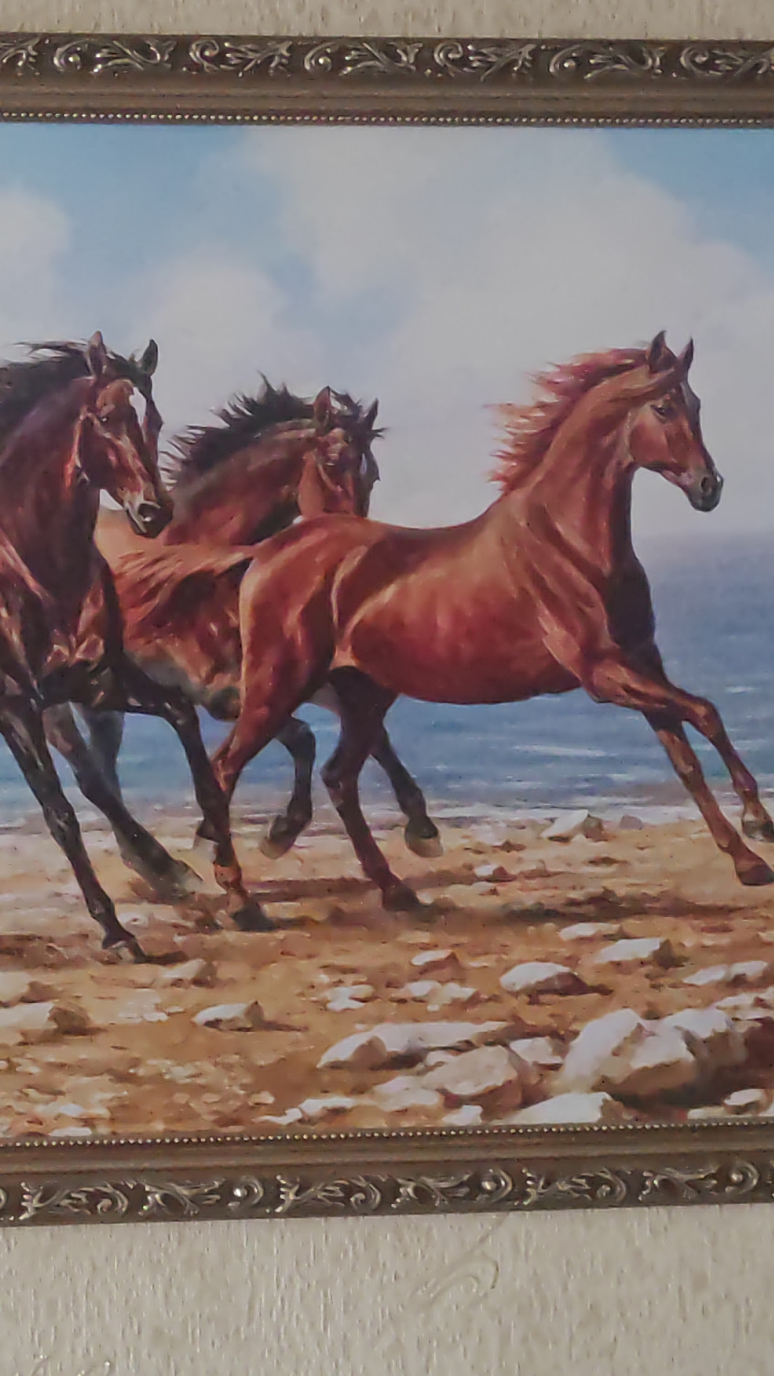 This is a photograph of a framed painting depicting three horses running on a sandy beach with the ocean in the background. The horses are a rich brown color and appear to be in motion, with their manes and tails flowing. The sky is a light blue with some white clouds. The beach is sandy and littered with rocks. The painting is framed in an ornate, gold-colored frame. The photograph is taken from a slight angle, showing the frame and the texture of the wall behind it. The location in the city of Dagomys, Russia is not discernable from the image itself.
