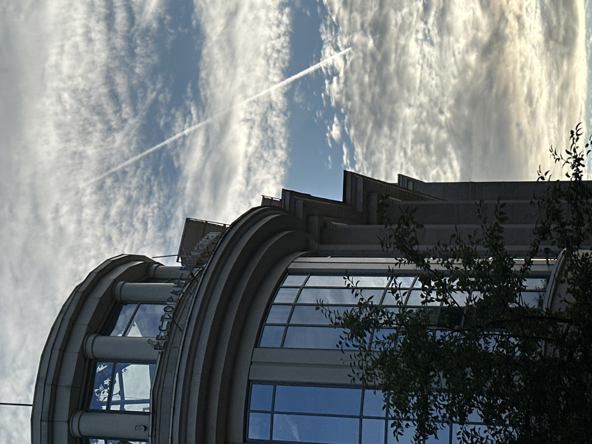The image shows a detail of the building of the **Tsentralny Department Store (TsDU)** located at Nevsky Prospekt, 48, in Saint Petersburg, Russia. The facade is made of light-colored stone and features a curved section with large windows reflecting the cloudy sky and a prominent contrail from an airplane. The building has classical architectural elements, including columns and cornices. A lush green tree with dense foliage partially obscures the lower portion of the building. The sky is filled with dramatic, textured clouds, with a bright contrail stretching diagonally across it, indicating an aircraft passed overhead. The lighting suggests it is daytime, possibly late afternoon or early morning, given the angle of the light and the cloud formations.