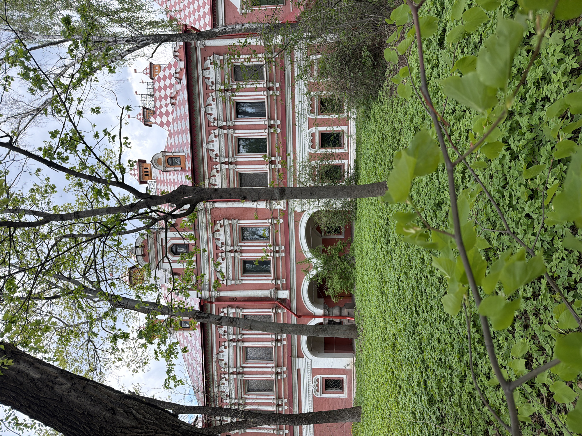 The image captures the Petrovsky Travel Palace in Moscow, Russia, from a ground-level perspective, partially obscured by foliage. The building's facade is characterized by its red and white color scheme, ornate window frames, and a distinctive red and white checkered roof. A dense expanse of green ground cover dominates the right side of the frame, partially obscuring the lower sections of the palace. Trees with budding leaves are visible on the left, partially obscuring the upper portions of the building and the sky. The sky appears overcast.
