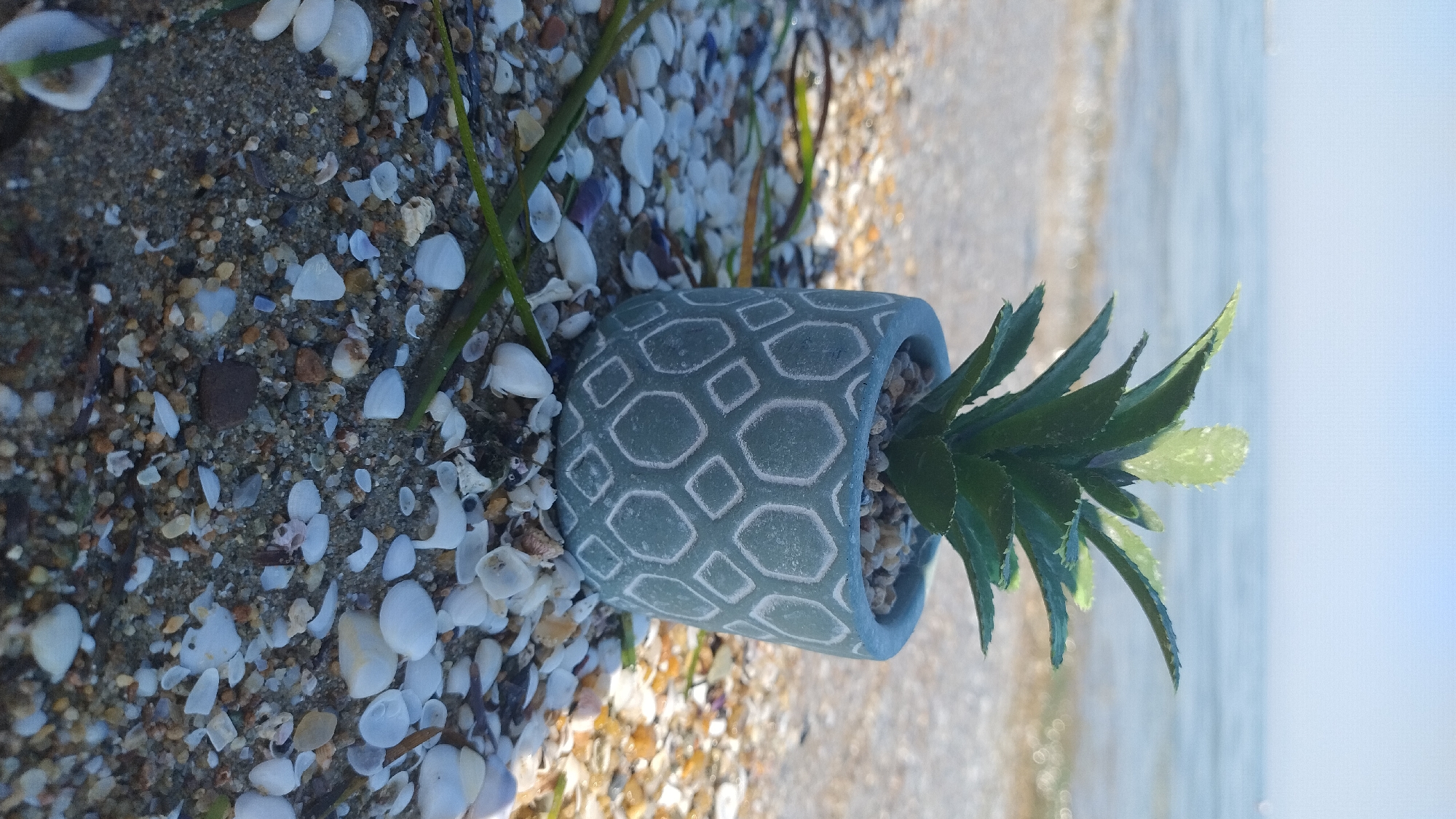 A small potted succulent plant sits on a sandy beach in Perea, Greece, with the shallow ocean waves in the background. The pot is gray with a hexagonal pattern and filled with pebbles. The succulent is green and spiky. The beach is covered in sand, small shells, and some green seaweed. The sky is a pale blue.