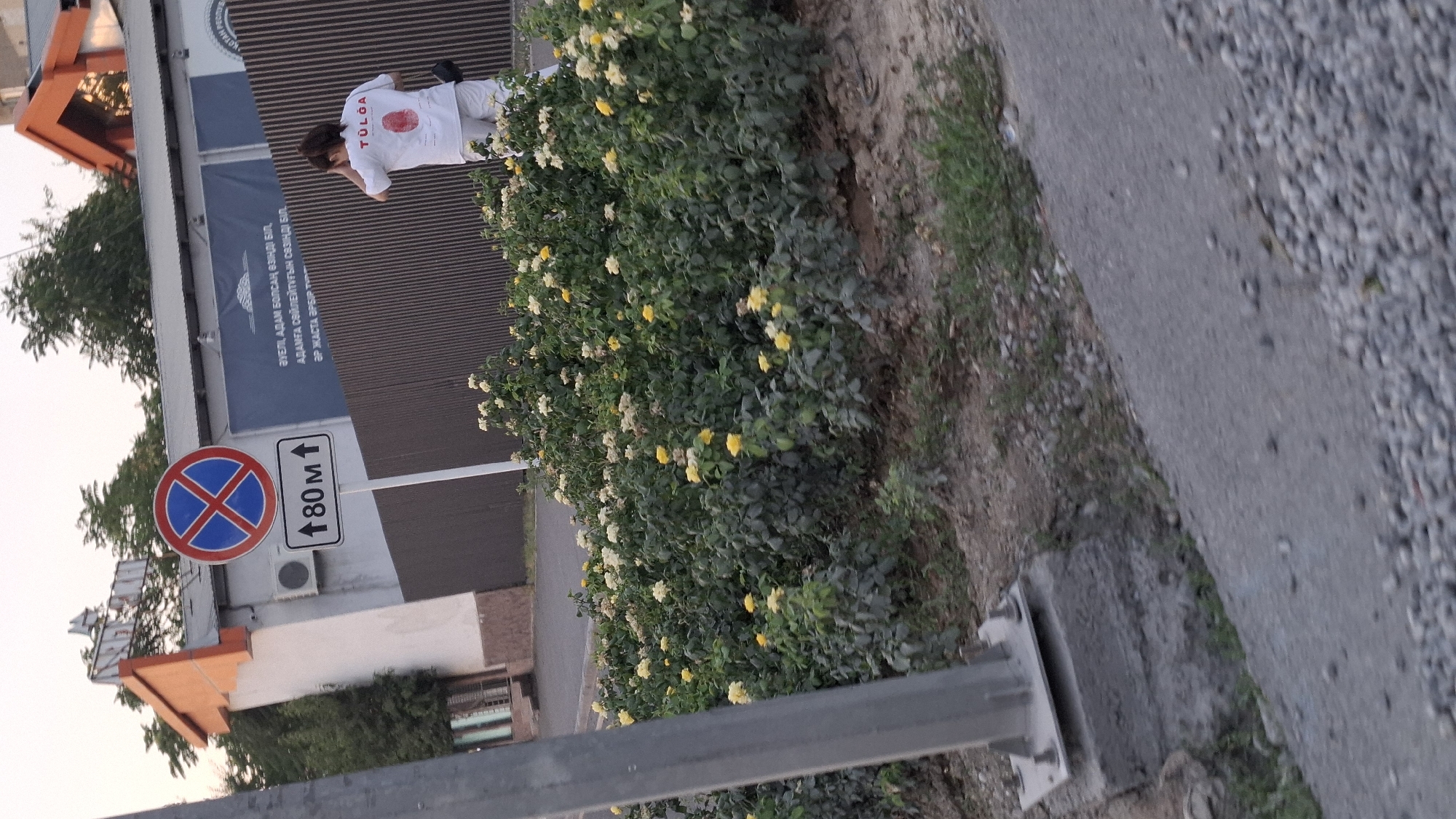 The image shows a person in a white shirt with the word "TULĞA" printed on it, and what appears to be a red imprint or stain on the shirt. The person is standing near a bush with yellow and white flowers and a sign that says "180 м" (180 meters) with an upward arrow. There is also a "no parking" sign. The scene appears to be outdoors, possibly in a park or along a street, with a gravel path and a building in the background. The text on the building is in Kazakh and translates to "First, know yourself, speak wisely, and know yourself in every age." The overall impression is a candid shot with a focus on the person and their surroundings. The lighting suggests it might be daytime, but the angle of the sun is not clearly discernible.