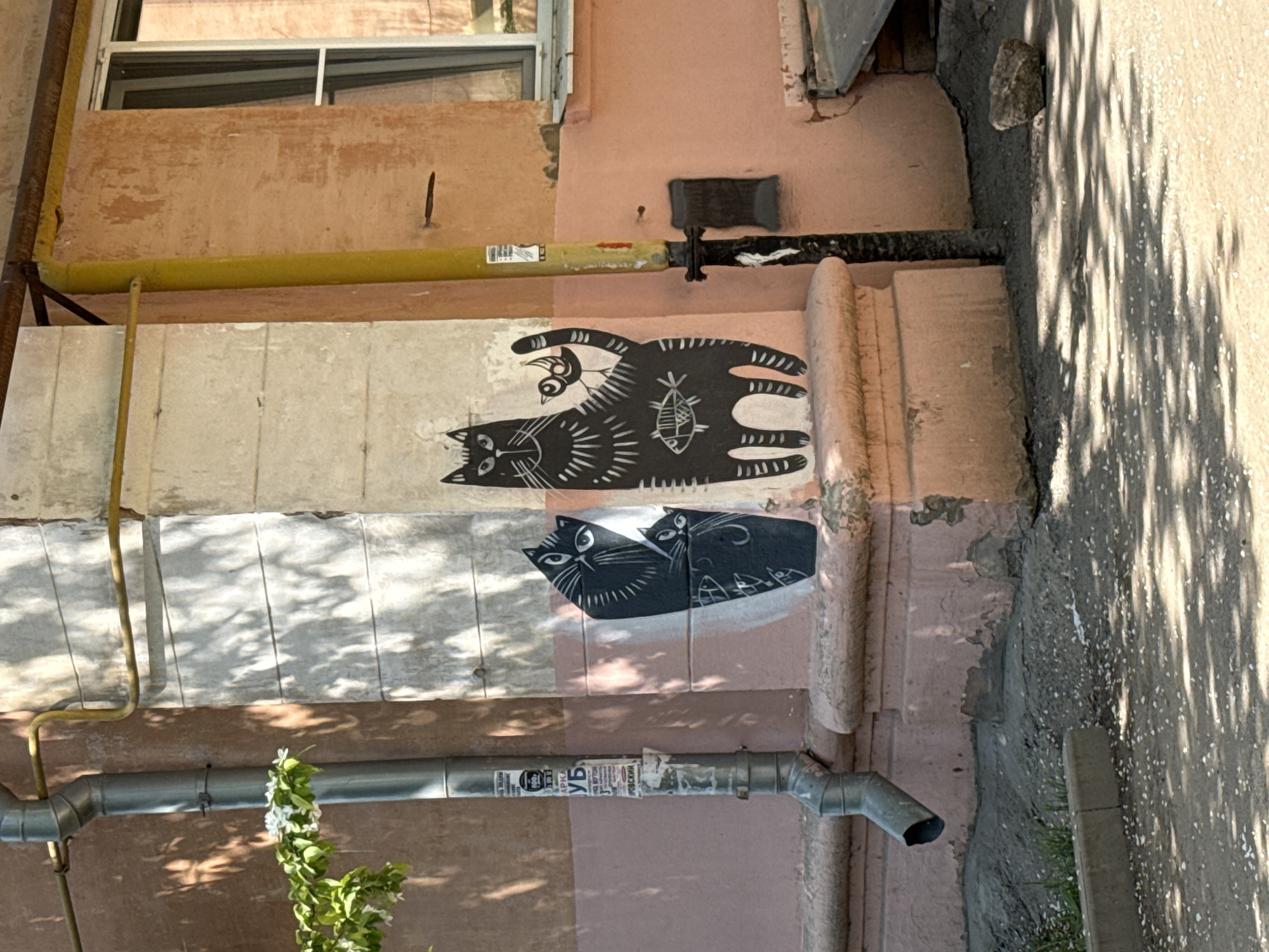 The image shows an exterior wall in Votkinsk, Russia, with a light pink and gray facade. Two stylized black cat paintings are visible on the wall. The top cat has a bird perched on its back and a fish on its stomach. Below it, there is a painting of two cats sitting side-by-side. Various pipes run along the wall, including a yellow gas pipe at the top and gray drainage pipes lower down. The ground area is covered in shadow with some greenery visible at the bottom left. There's a window near the top of the image. The wall appears weathered with some peeling paint.