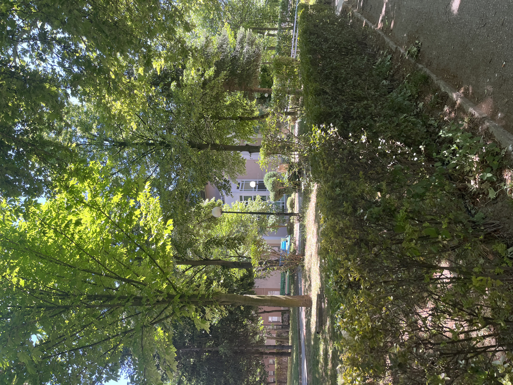 The image depicts a tree-lined pathway in Blagoevgrad, Bulgaria. The pathway is bordered by green bushes and trees. A building with light-colored walls and windows is visible in the background. A lamppost is positioned along the pathway. A section of asphalt is seen on the right side of the image. A bench can be seen in the distance.