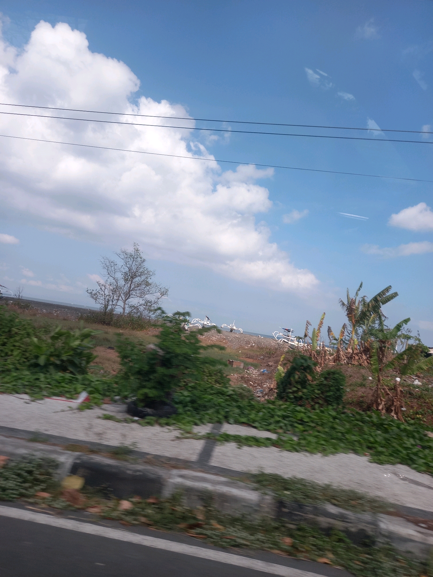 This image depicts a roadside view of a somewhat unkempt area near the coast in Mataram, Indonesia. In the foreground, lush green vegetation spills onto a concrete curb and asphalt road, suggesting a location along a thoroughfare. Beyond the greenery, the land appears dry and scattered with debris and trash, hinting at a less maintained environment. A few bare trees and some banana trees are visible, alongside what appear to be several small, white boats on a dark, possibly rocky, shoreline in the midground. The sea is faintly visible in the distance. The sky is a clear blue with scattered white clouds, and power lines are present in the upper portion of the frame. The overall impression is of a coastal urban fringe with signs of both natural growth and human impact.