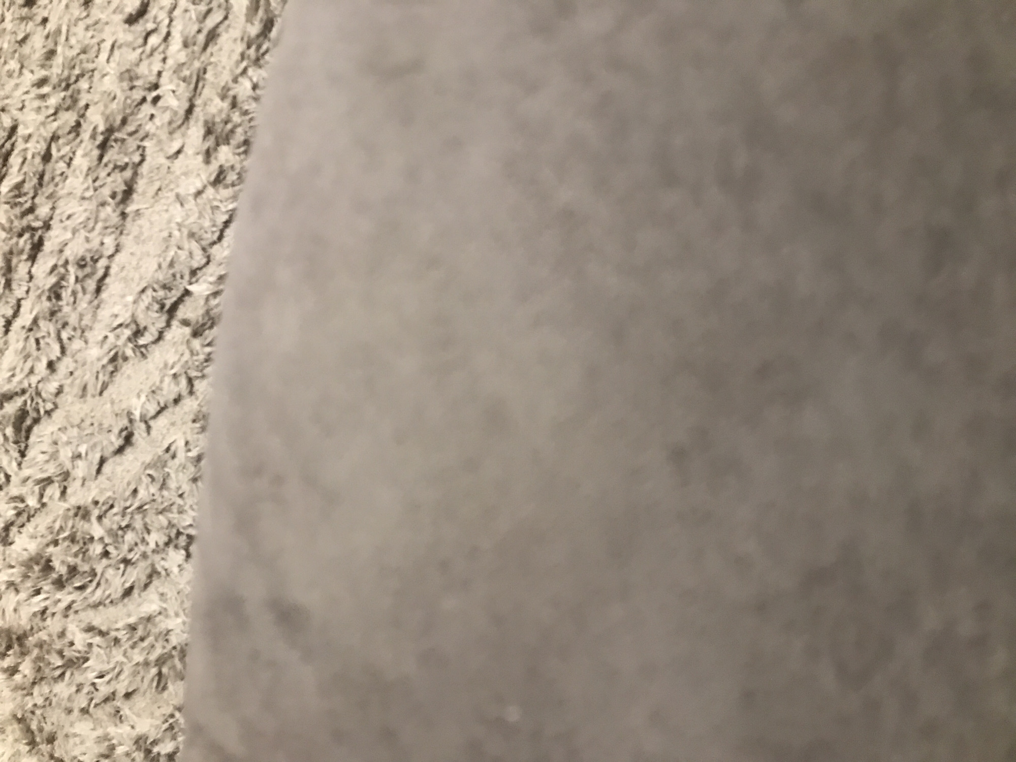The image shows two distinct textures: a shaggy, light-colored carpet on the left and a smooth, gray fabric on the right. There are no people, subjects, objects, actions, or interactions visible. The environment appears to be indoors. There is no information to indicate the location is in Yerevan, Armenia.