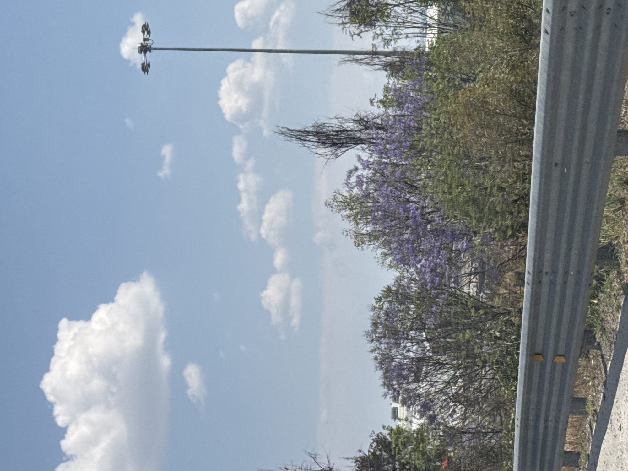 The image depicts a daytime scene in San Bernardino Tlaxcalancingo, Mexico. The sky is predominantly blue with scattered cumulus clouds. A streetlight pole is visible on the left side of the frame. The right side features dense vegetation, including trees with purple flowers, bordering a highway or road. A metal guardrail is prominently positioned on the right edge of the image. A building is partly visible in the background. The overall atmosphere suggests a bright, sunny day near a highway or road in a semi-urban environment.