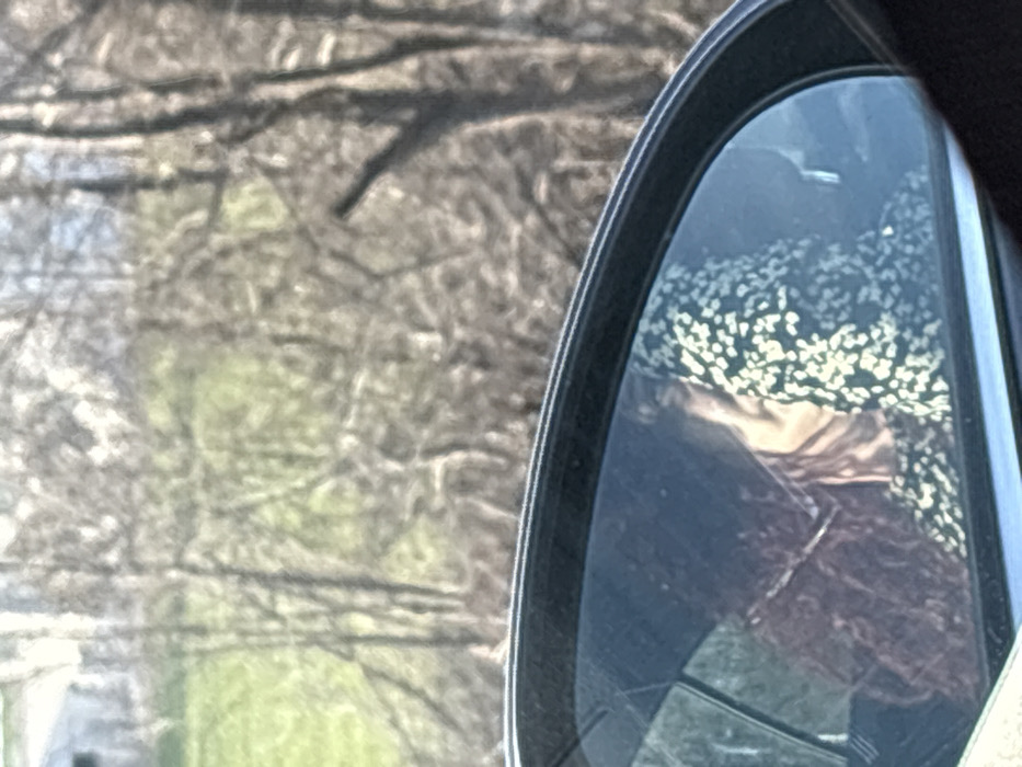 The image presents a view predominantly focused on the reflection in a vehicle's passenger-side exterior mirror, with the background outside the vehicle visible above it. The scene is located in Momin Sbor, Bulgaria.
Within the car's mirror, a partial reflection of a person is observed. This individual possesses long, dark, and seemingly wavy or curly hair. They are wearing a dark garment patterned with numerous small, light-colored, possibly white or cream-colored, speckles. A thin, reflective chain or necklace is visible around the person's neck. The individual's face is largely obscured or angled away, preventing clear identification of facial features or expression.
The environment visible outside the vehicle and above the mirror consists of a rural or semi-rural landscape. This background features numerous deciduous trees, mostly bare of foliage, suggesting a late winter or early spring season. Patches of vibrant green grass are interspersed among the trees. In the upper left background, a light-colored building or structure is faintly discernible in the distance. The lighting indicates daytime conditions.
