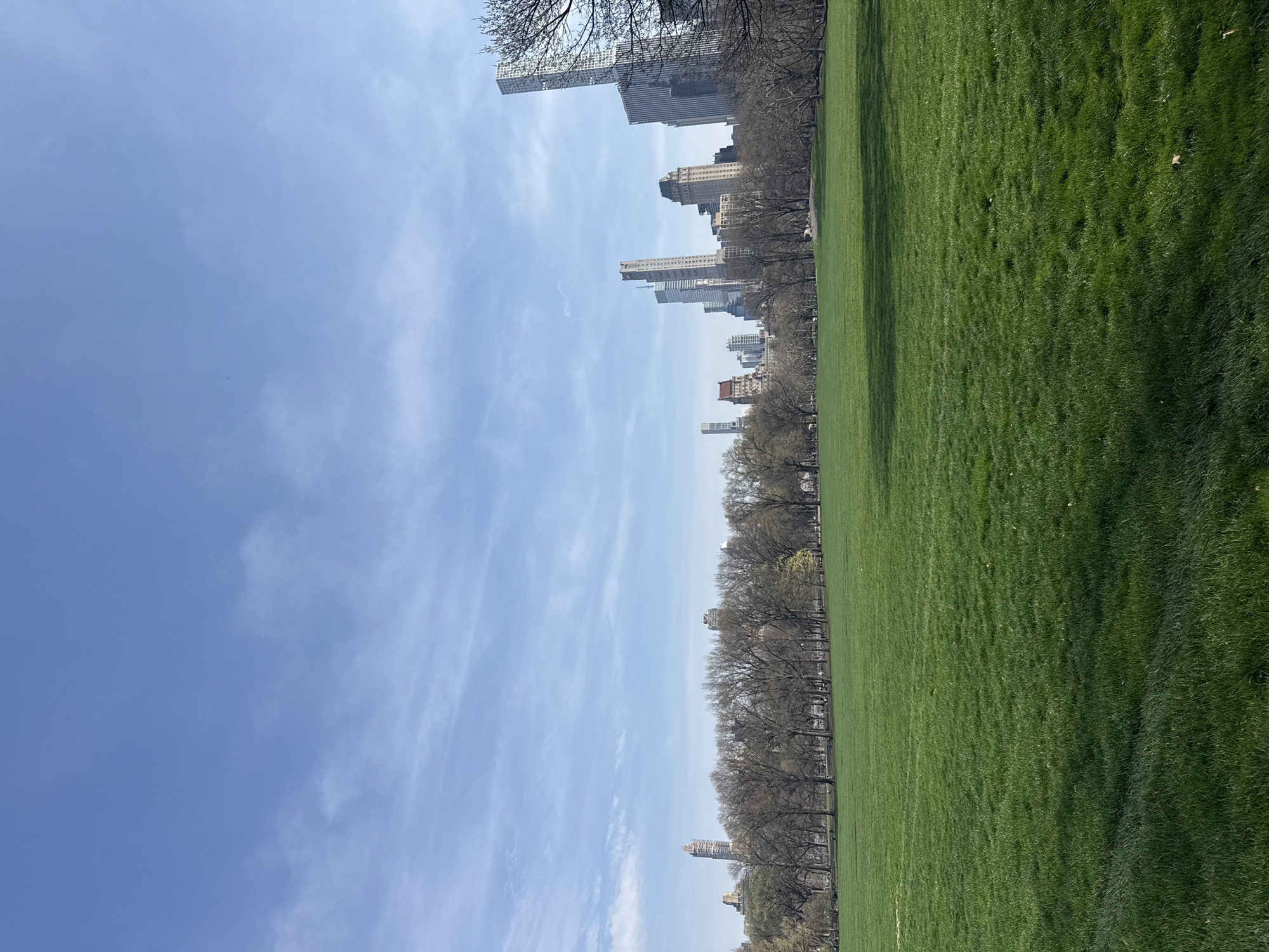 The image depicts a landscape view of Central Park in New York City. A large expanse of green grass dominates the foreground, transitioning to a line of trees along the park's edge. Beyond the trees, a skyline of skyscrapers is visible against a backdrop of a blue sky with scattered clouds. The buildings vary in height and architectural style.