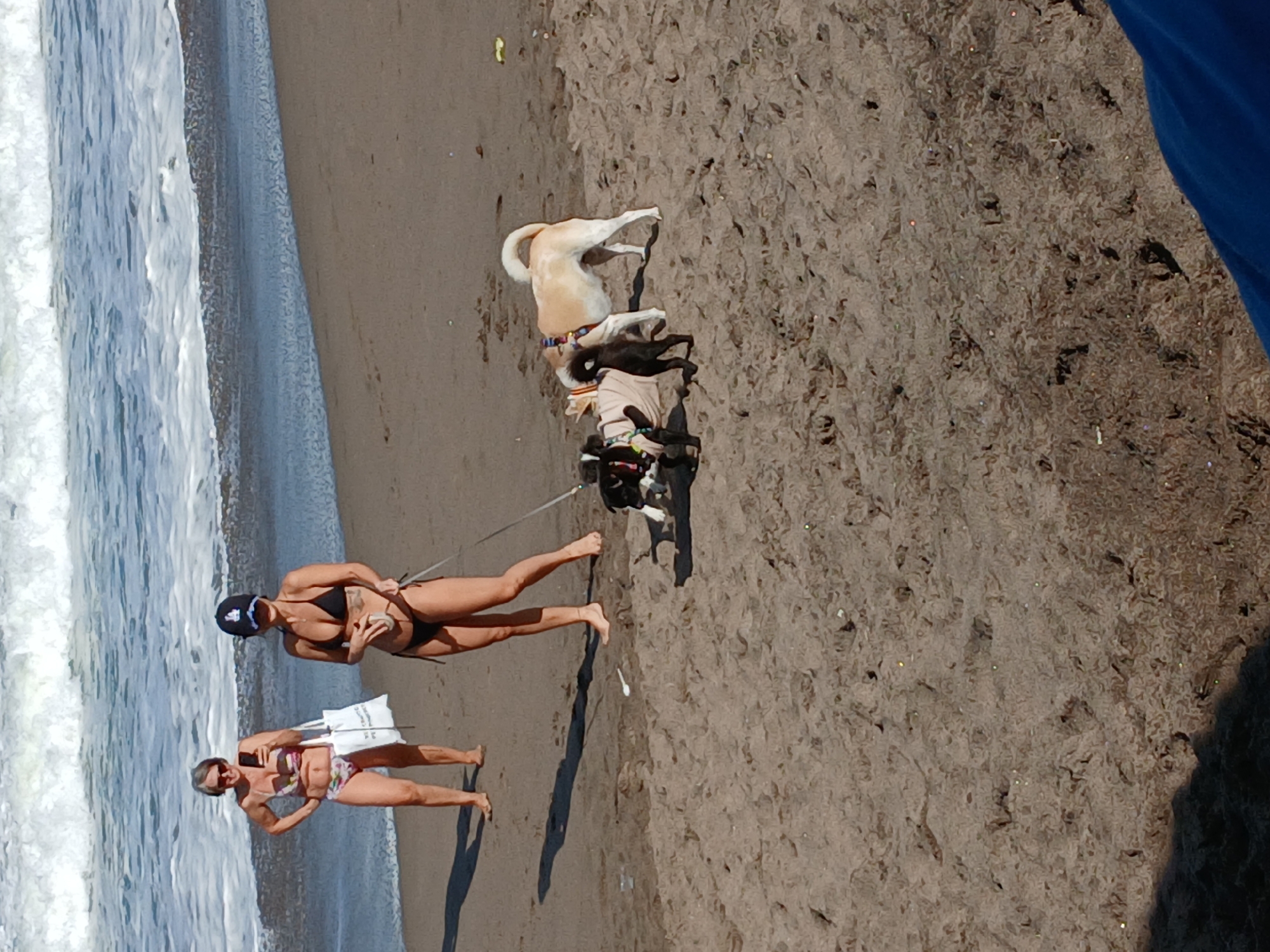 Two women are on a sandy beach with a body of water and waves in the background. One woman, on the left, wears a patterned bikini and holds a white tote bag and a smartphone. The other woman, on the right, wears a black bikini and a baseball cap. She is holding a leash attached to two small dogs. One dog, mostly black with white markings, is in the foreground. Behind it, a beige dog stands facing away from the camera, wearing a colorful collar. The sand is damp and textured, with some debris scattered on it. The water appears blue with white foam from the waves. The lighting suggests it is daytime.