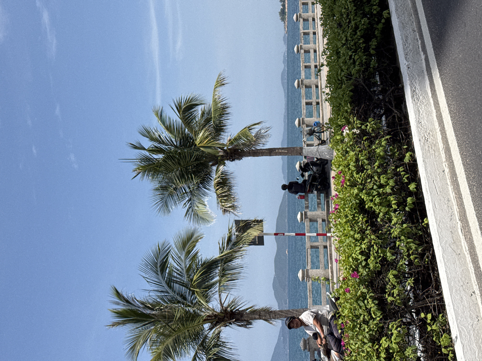 A vertical, eye-level, medium shot captures a coastal scene in Nha Trang, Vietnam, under a bright, clear blue sky. In the foreground, a lush green hedge with scattered pink flowers borders a white, textured curb, beyond which lies a grey asphalt road with white stripes.
Behind the hedge, a stone railing with cylindrical posts runs along a walkway overlooking the ocean. Two palm trees with full fronds stand tall on the left and center-left of the frame, their leaves gently swaying.
On the left side of the walkway, a man wearing a light-colored shirt and a dark cap sits on a motorcycle, looking towards the left. His right hand is on the handlebar. To his right, a red and white striped pole stands on the walkway.
Further to the right, another person is seated on a motorcycle. A bicycle is parked near the railing. The ocean stretches across the background, meeting a distant, hazy shoreline with rolling hills. The water is a calm blue, reflecting the sky. The overall impression is of a tranquil day by the sea, possibly a promenade or esplanade in Nha Trang.