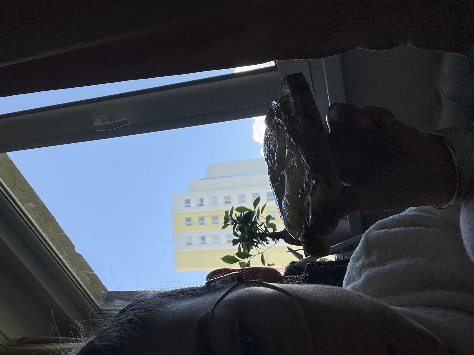 A low-angle, indoor shot shows a person reclined with a window view of a light yellow and white apartment building against a blue sky with light clouds. The person is partially covered in a white towel or blanket. A hand with a gold bracelet holds a piece of food, possibly a slice of bread or pastry, close to the camera. A small green plant sits in a pot on a surface between the person and the window. A medical device, possibly tubing, rests on the person's chest. The location is inferred to be in the city of Unknown, Unknown, based on the prompt.