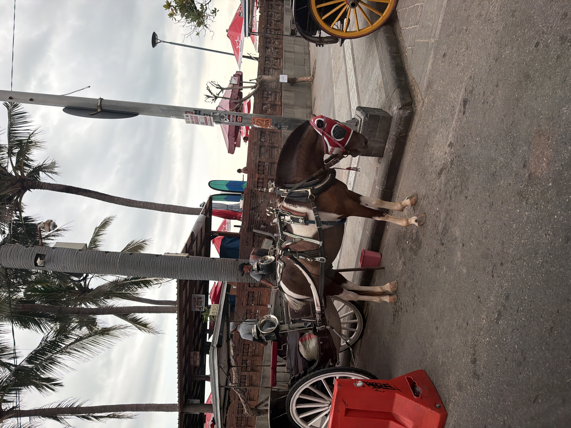 The image captures a horse-drawn carriage parked along a street in Kuta, Indonesia. The horse, wearing a red and white blinders, is standing beside a concrete structure. The carriage is attached to the horse, with the driver seated. Palm trees are seen on the side of the street, and red umbrellas are set up behind a low wall. The sky is cloudy and gray. Another carriage with yellow wheels is parked nearby. The street surface is dark asphalt. A red traffic barrier is positioned near the carriage.