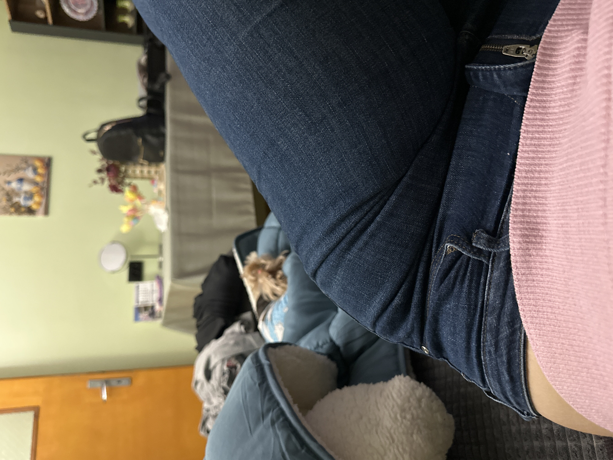 The image depicts a close-up shot of a person sitting, wearing blue jeans and a pink shirt. A light blue dog bed with a white, fluffy interior is also visible, with a small dog partially visible inside. The setting appears to be indoors, with a desk and other household items in the background. Based on the available information, there is no indication of the location being in the city of Montana, Bulgaria.