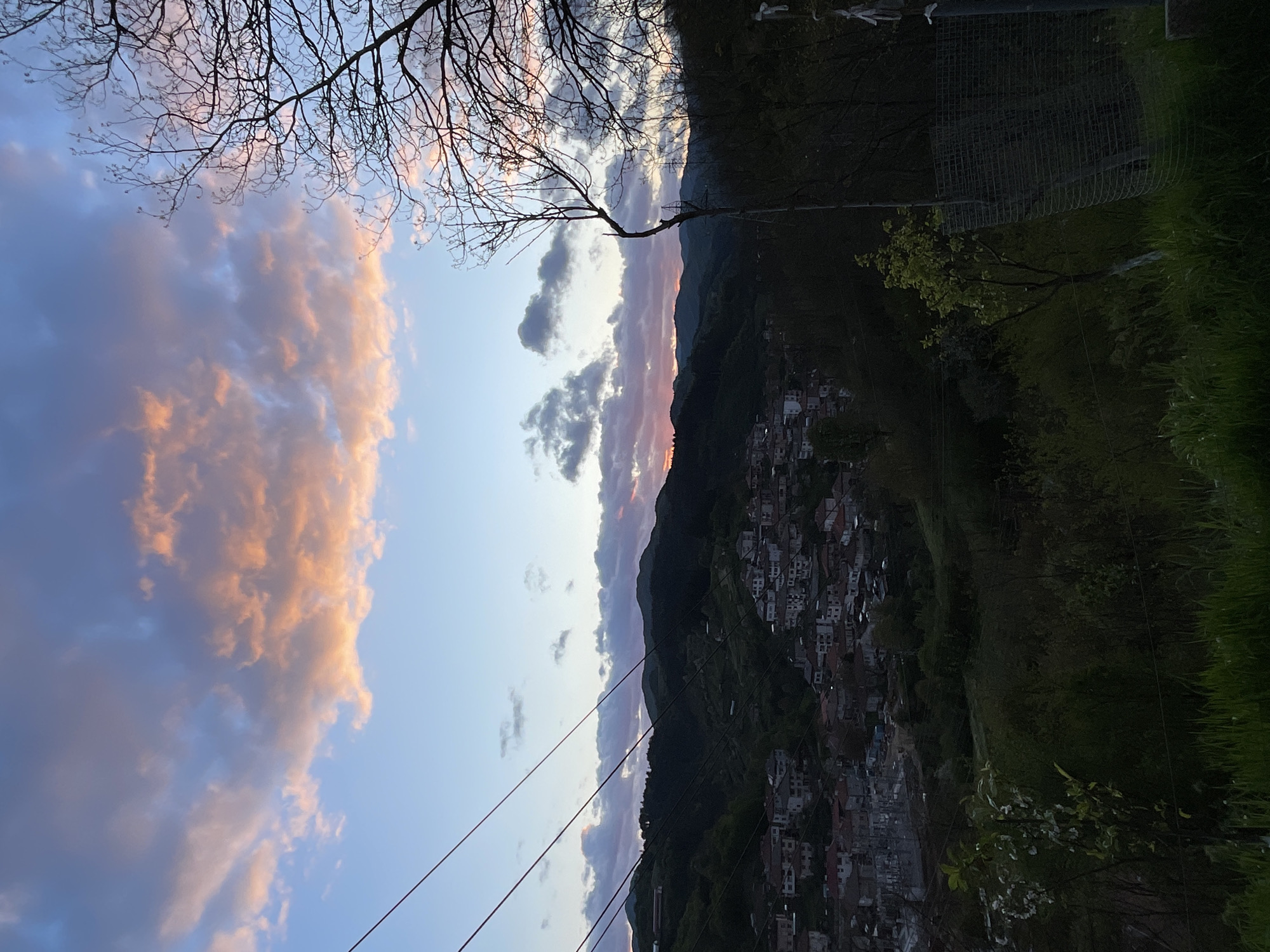 An outdoor scene, the image shows a sky with orange-tinged clouds and bare tree branches in the upper left. A mountain range is partially visible, with a town built into the hillside on the right. Green vegetation surrounds the town. Power lines cross the lower part of the sky. Part of a wire fence is visible in the upper right. The location is Zlatograd, Bulgaria.