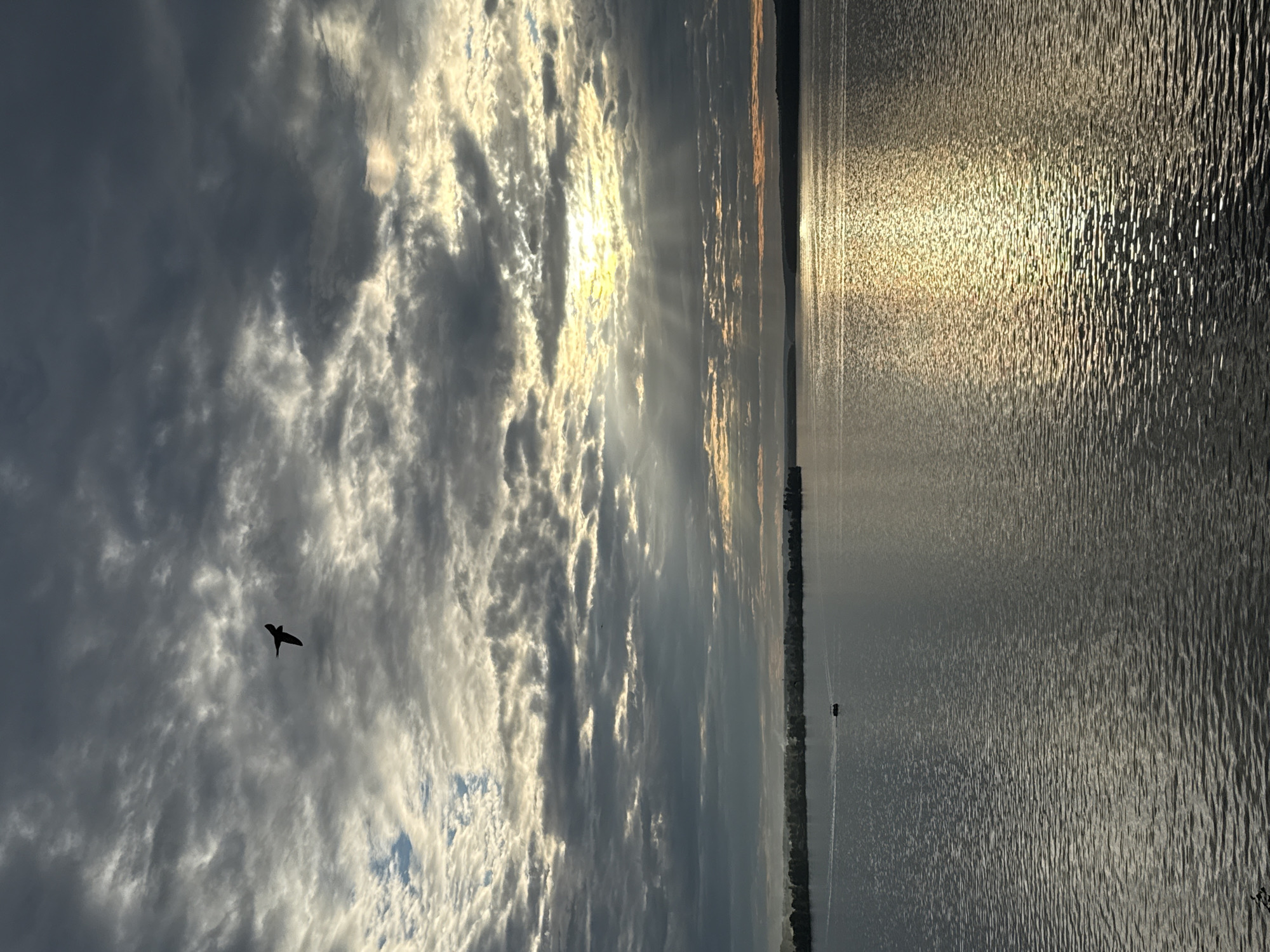 The image depicts a wide, calm body of water, likely a river or lake, under a dramatic, overcast sky. Sunbeams pierce through breaks in the thick clouds, illuminating a patch of the water with a golden reflection. A dark silhouette of a bird is captured in flight against the textured clouds in the upper portion of the frame. In the middle distance, a narrow strip of land with trees lines the opposite shore. A small boat is visible on the water, leaving a wake. The overall impression is one of a serene, yet dynamic natural scene. This scene could be located in Votkinsk, Russia, on the Kama River.