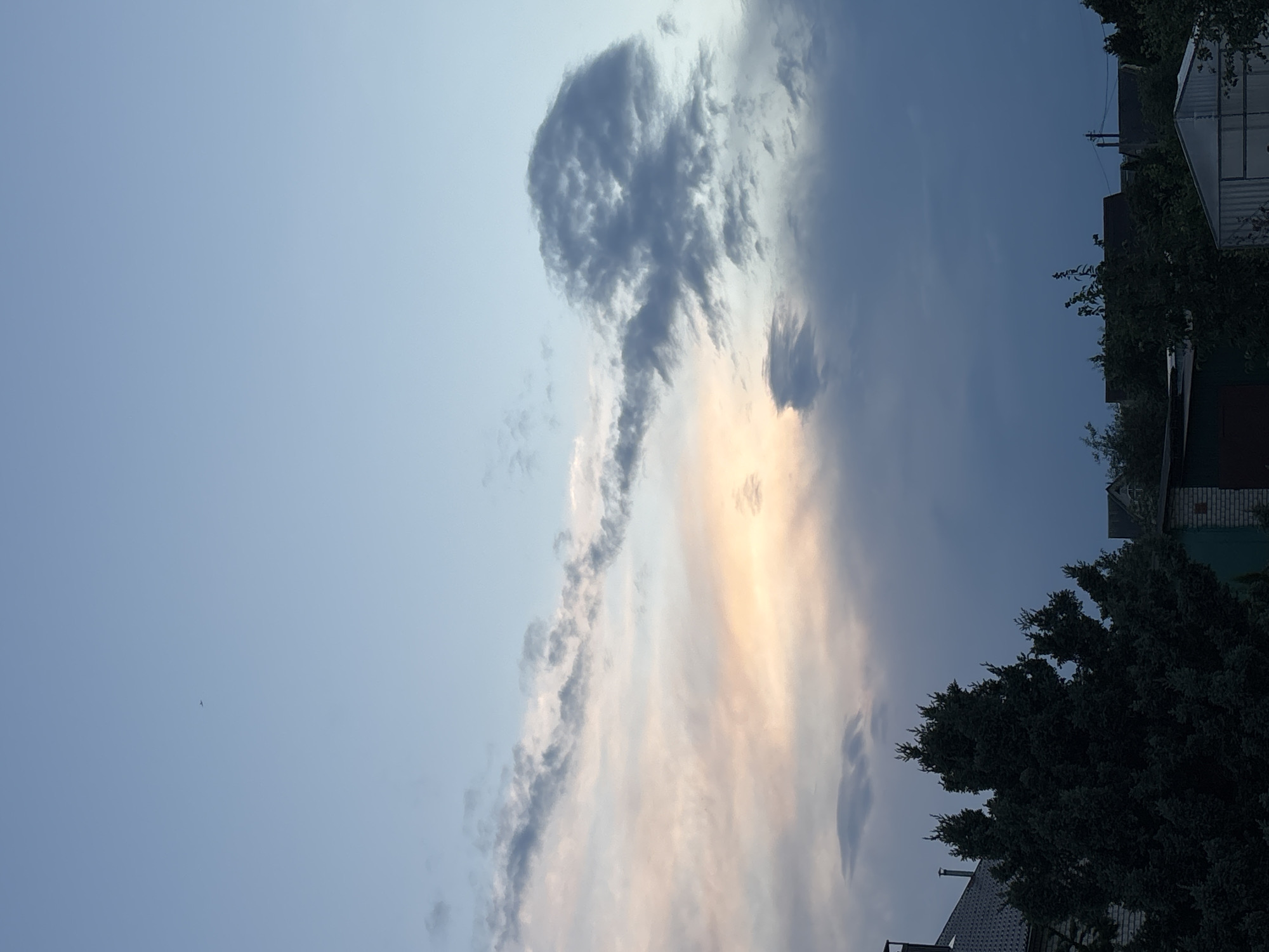 A low-angle, vertical, outdoor, daylight photograph captures the sky above a rural area, likely in the Капыльскі сельскі Савет, Belarus, at dusk. The sky is a gradient of pale blue at the top transitioning to darker blues towards the horizon. Wispy clouds are visible in the upper portion of the frame. A small, dark object, possibly an airplane or a bird, is visible in the far upper left quadrant of the sky. The middle section of the sky features more substantial clouds, with streaks of soft orange and pink light illuminating them, suggesting the setting sun is behind them. In the foreground, the silhouettes of trees, including a large, dark evergreen, are prominent, partially obscuring the view of several structures. These structures appear to be low-rise buildings, likely houses or outbuildings, with roofs and some visible walls. The overall atmosphere is serene and indicative of the transition from day to night in a rural setting.